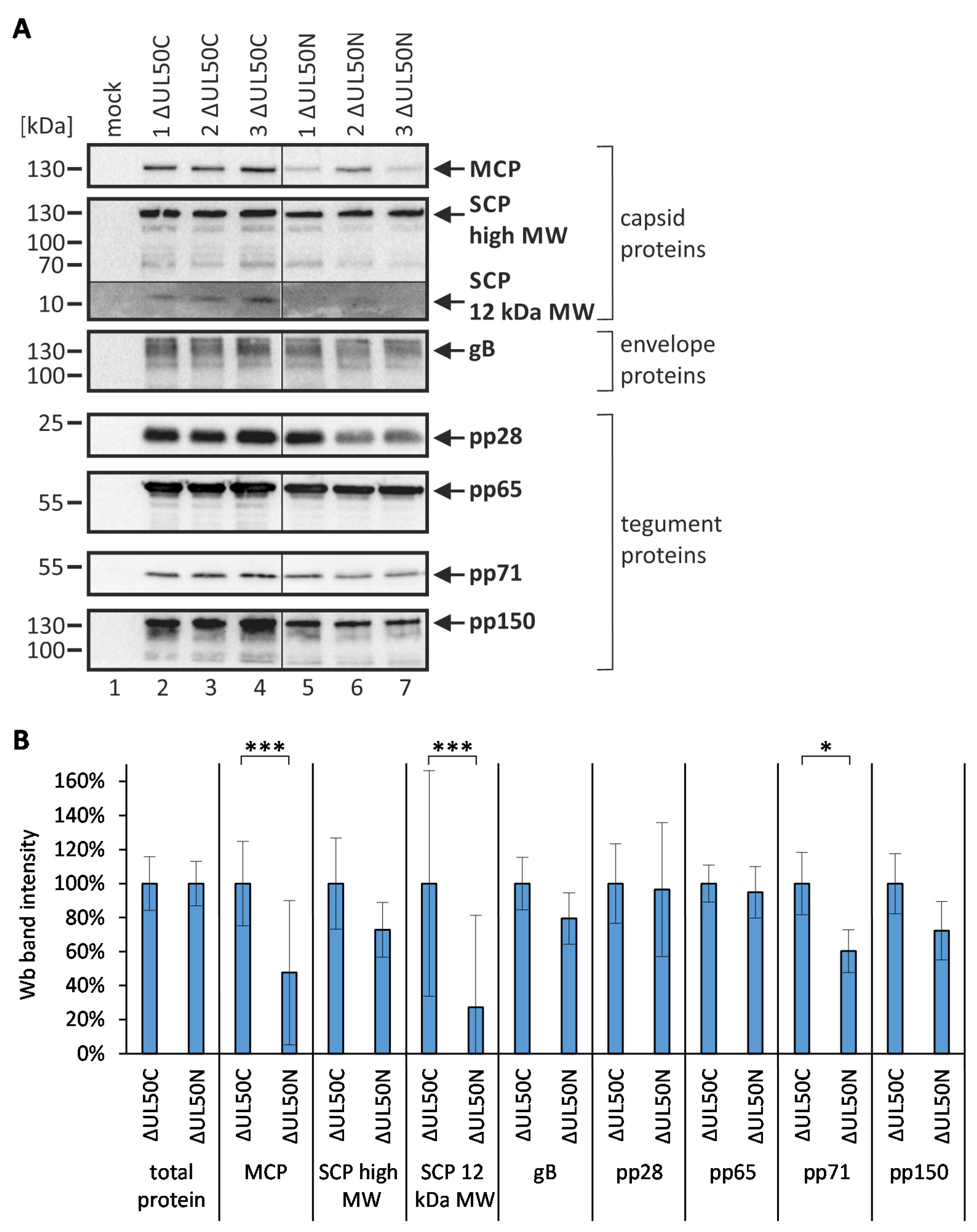 Cells 10 03119 g004 550