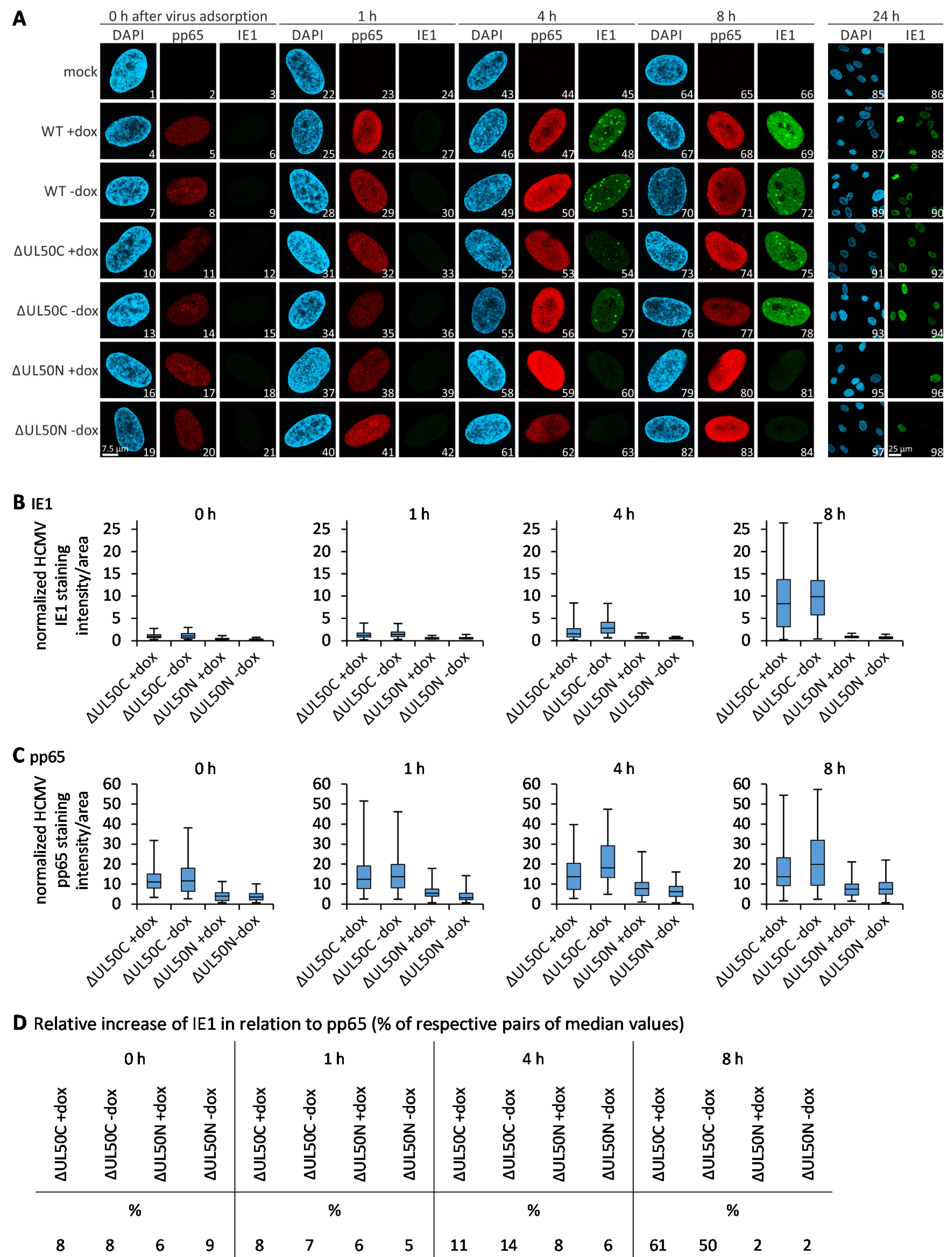 Cells 10 03119 g006 550