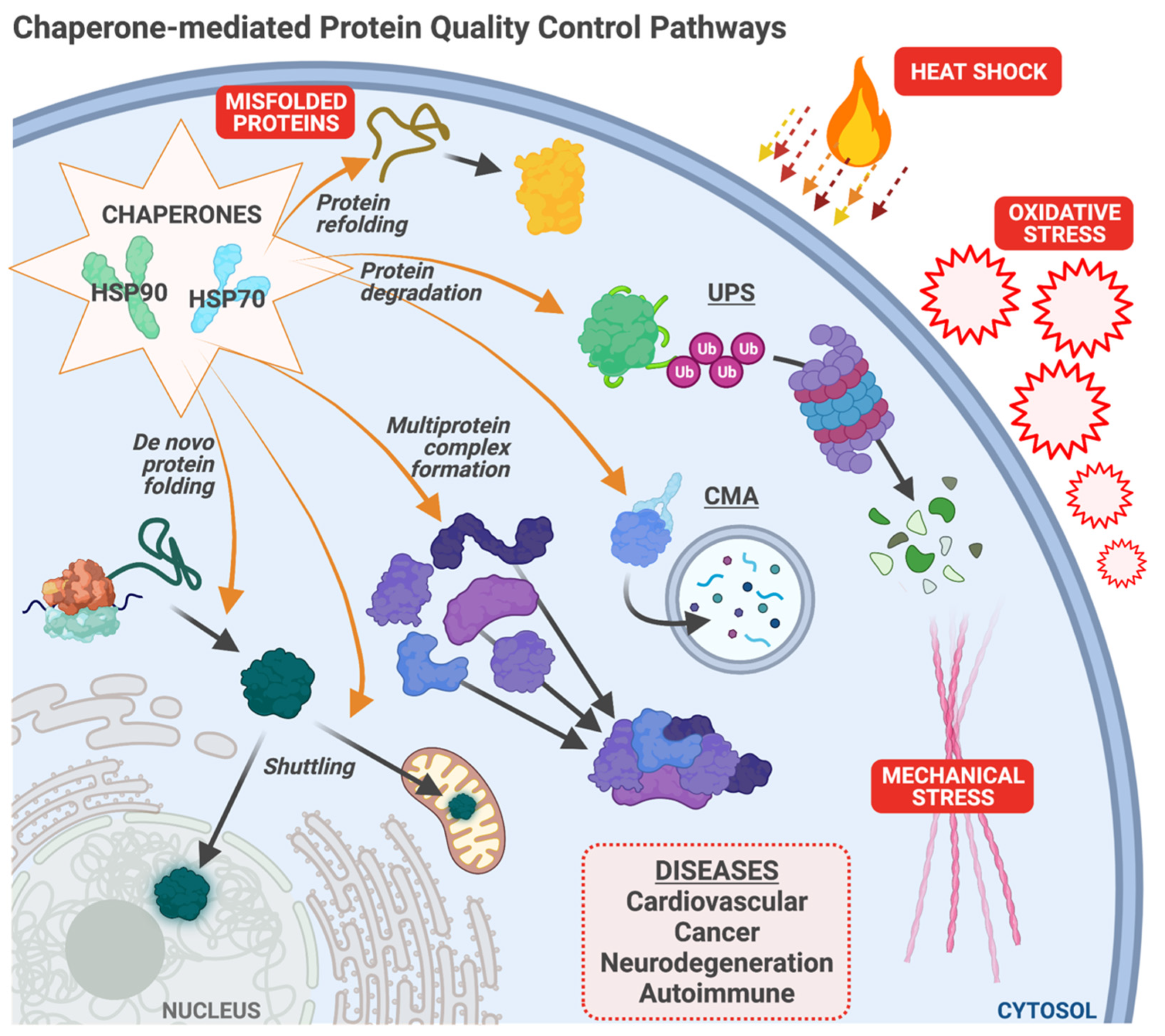 Cells 10 03121 g001 Cells 10 03121 g001