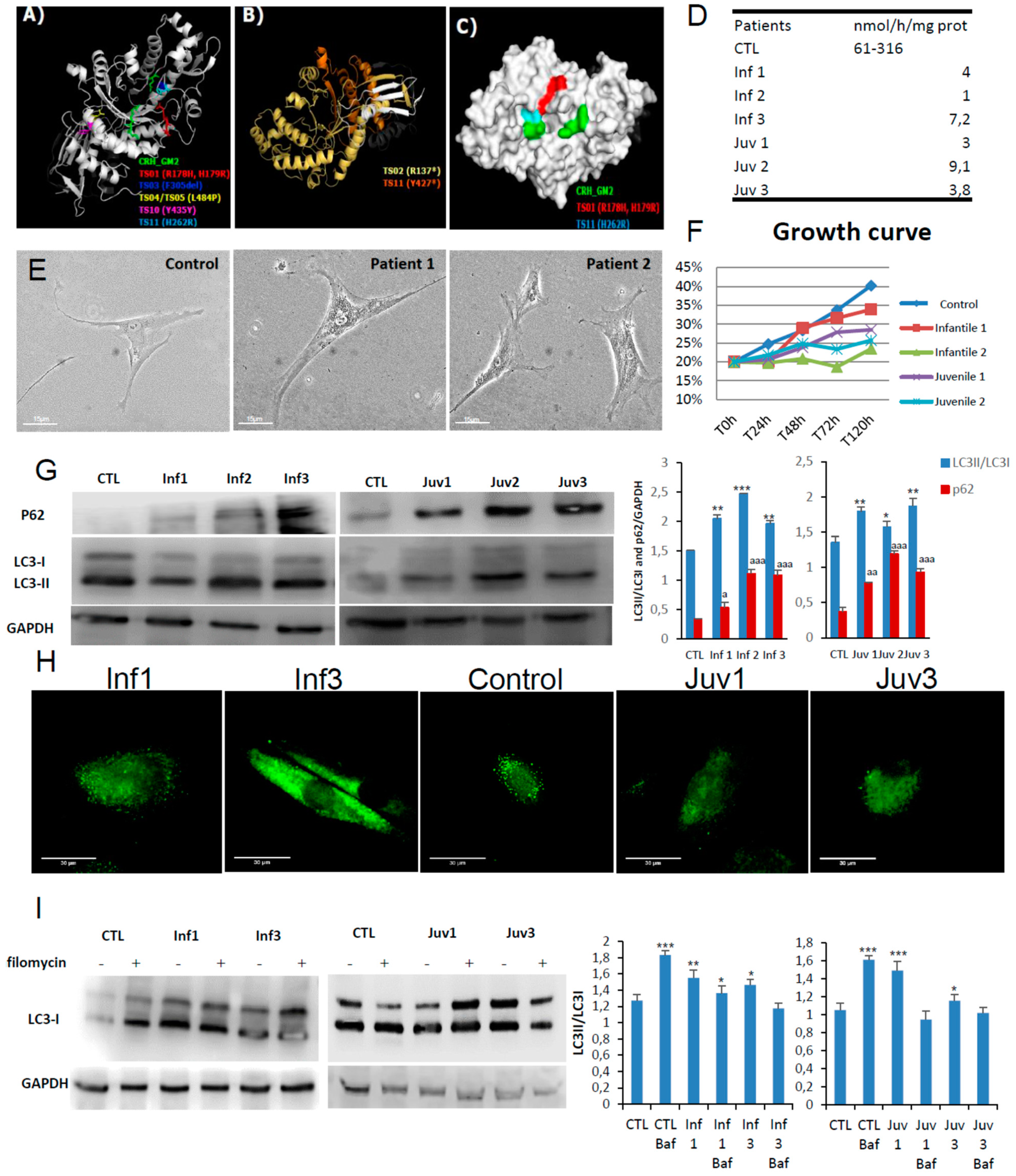 Cells 10 03122 g001 550