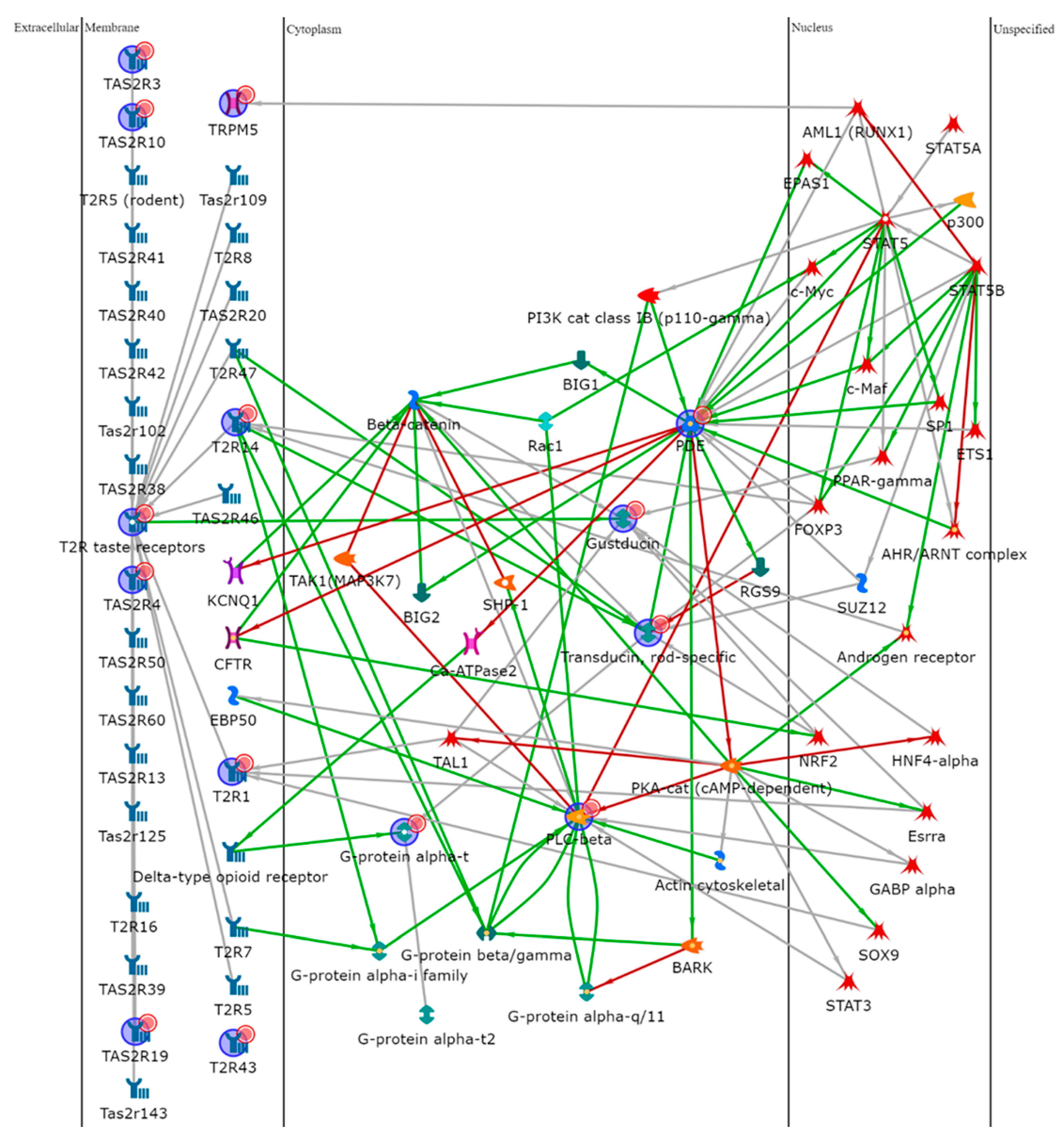 Cells 10 03127 g005 550