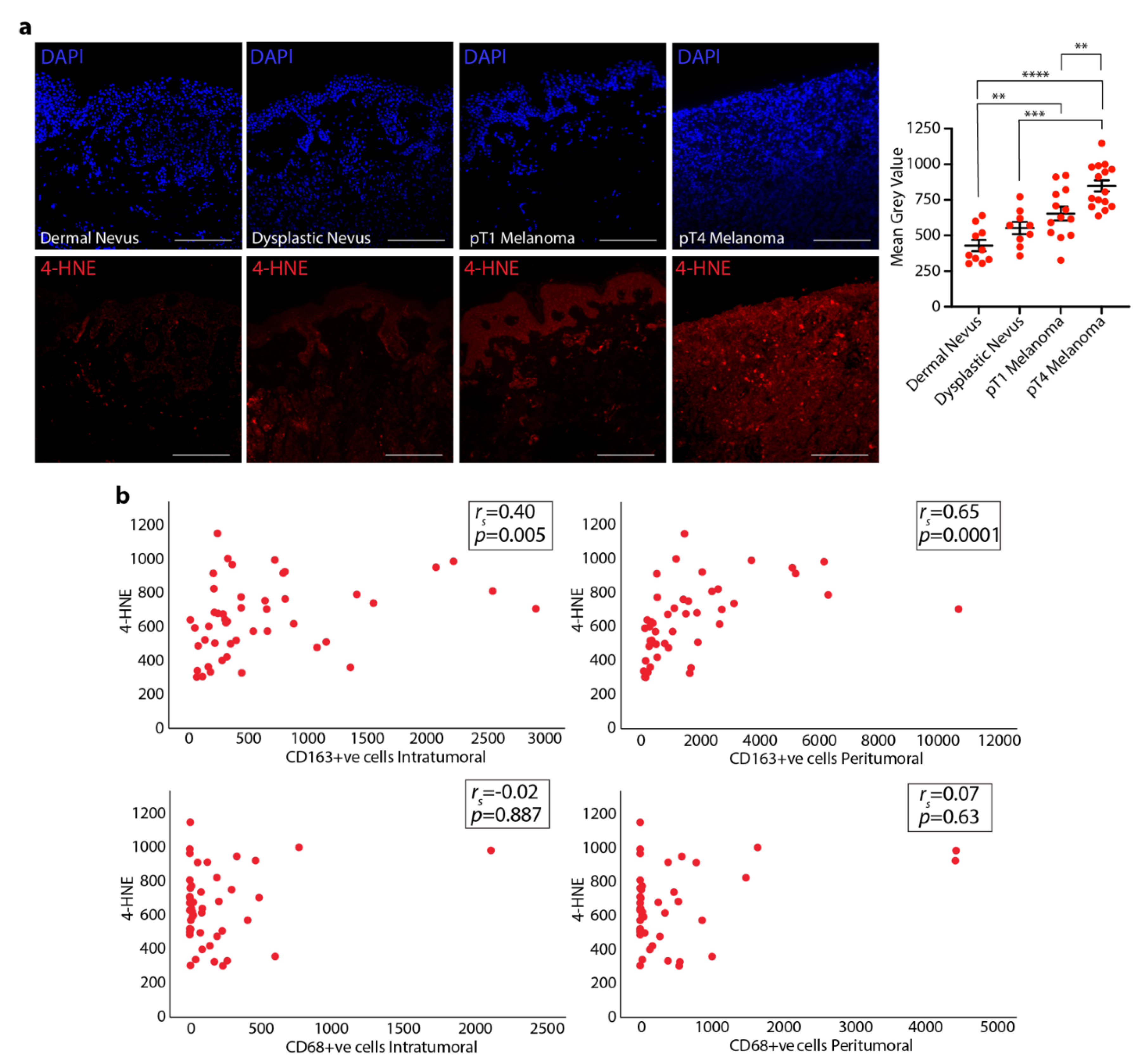 Cells 10 03131 g002 550
