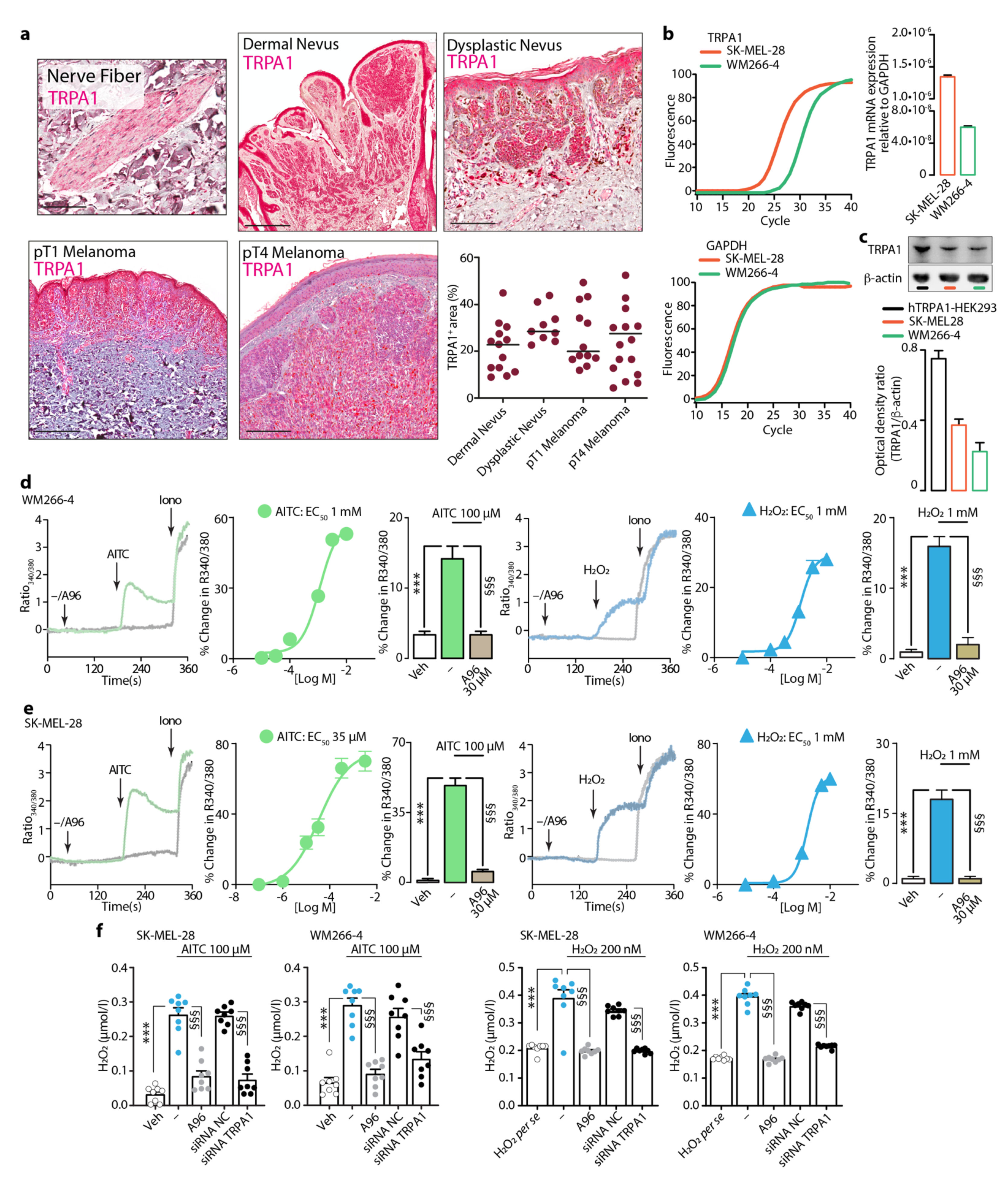 Cells 10 03131 g003 550