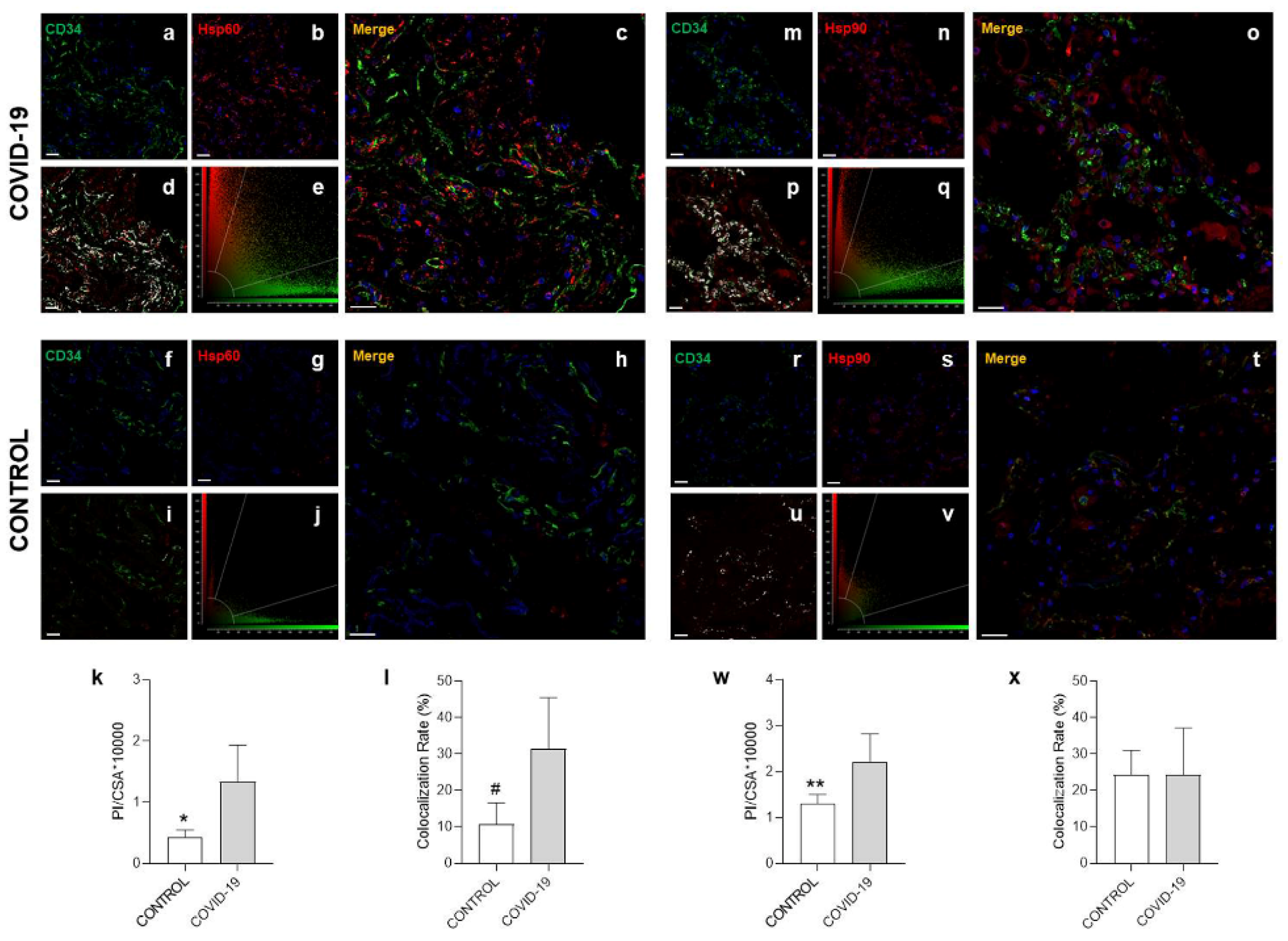 Cells 10 03136 g003 550