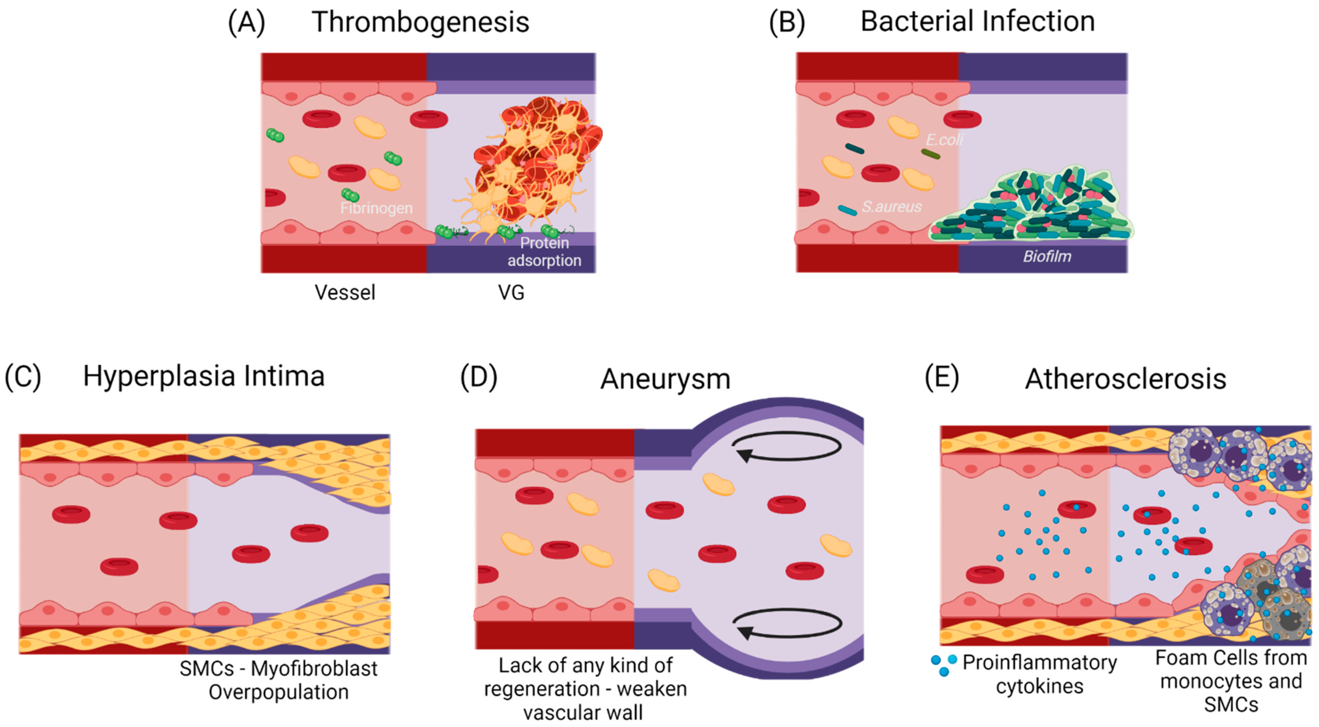 Cells 10 03140 g002 Cells 10 03140 g002