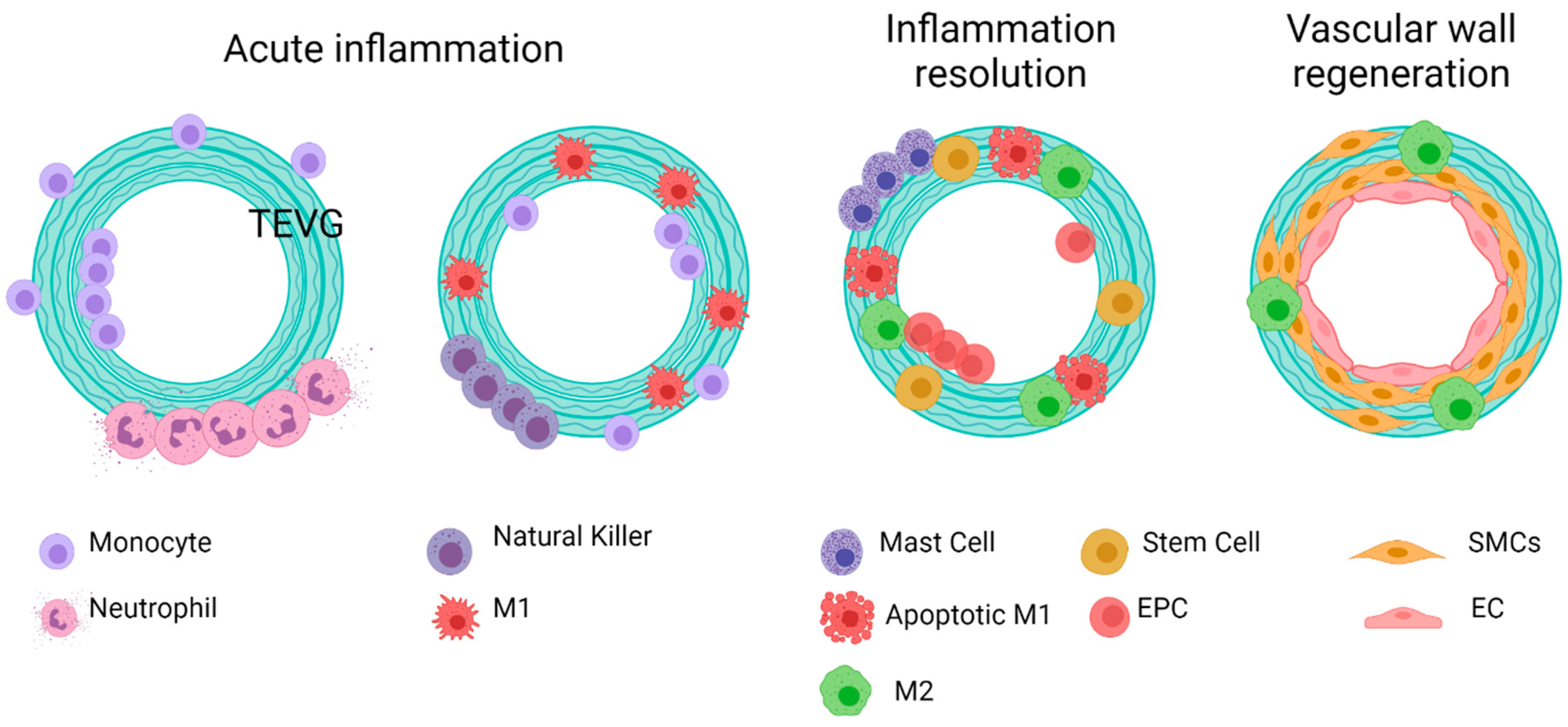 Cells 10 03140 g009 Cells 10 03140 g009