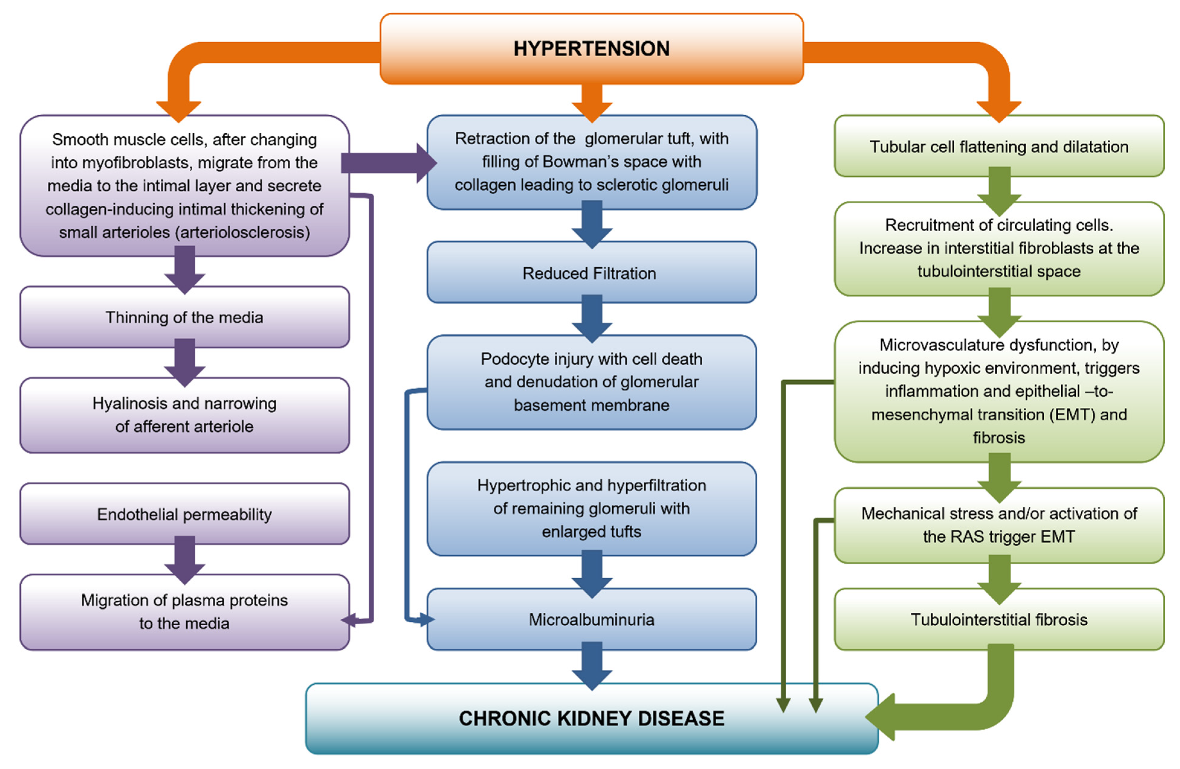 Cells 10 03146 g002 550