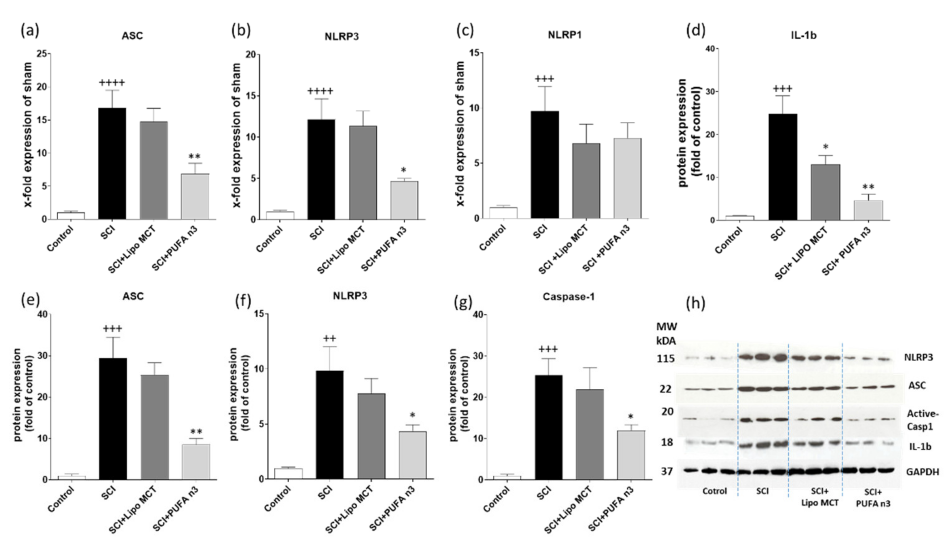 Cells 10 03147 g003 Cells 10 03147 g003