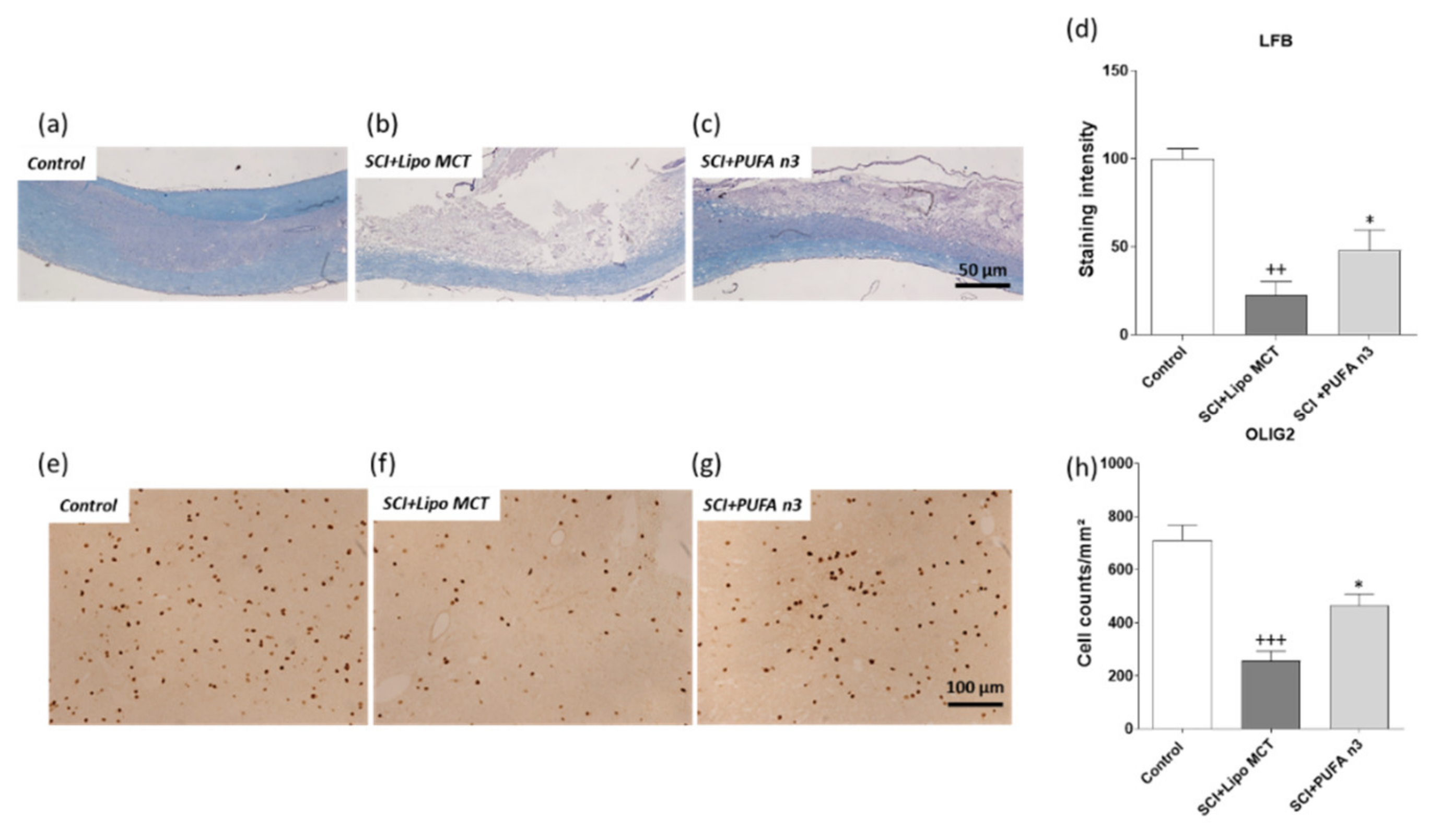 Cells 10 03147 g004 Cells 10 03147 g004