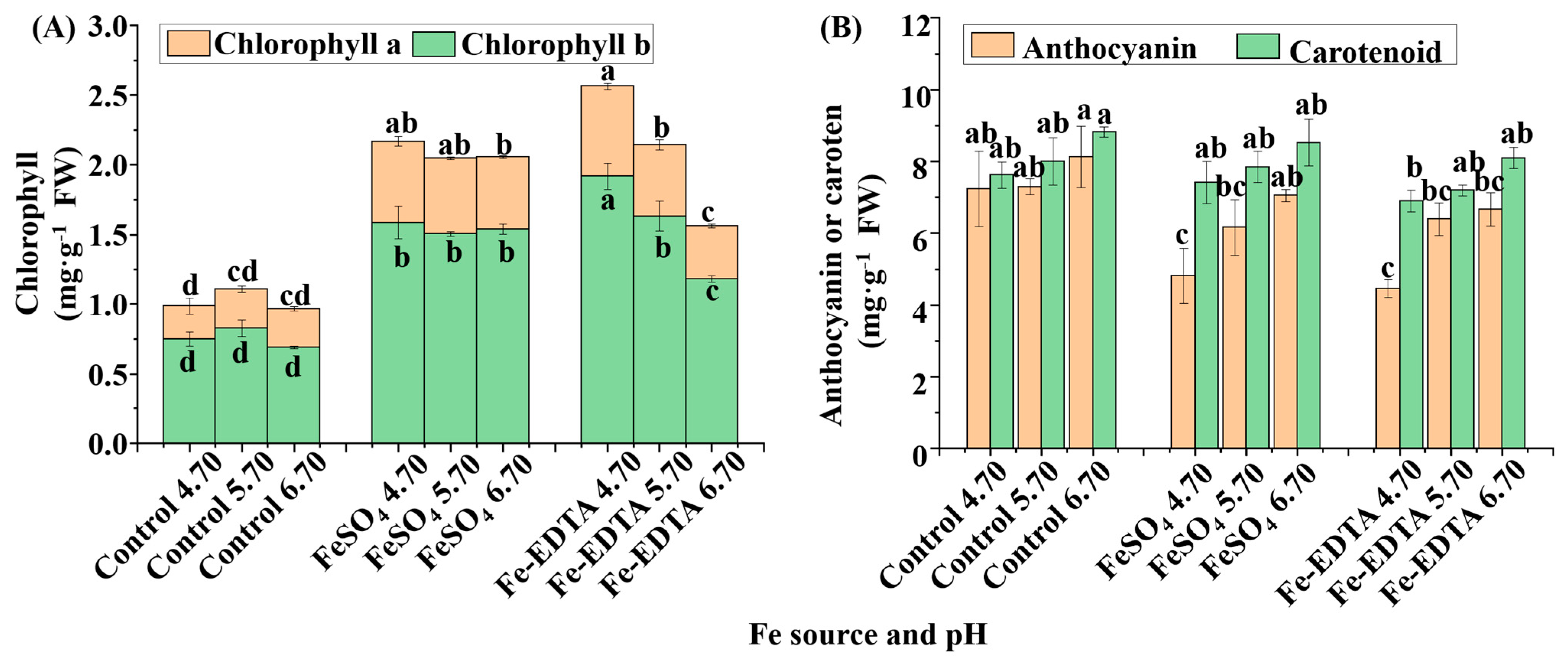Cells 10 03151 g003 Cells 10 03151 g003