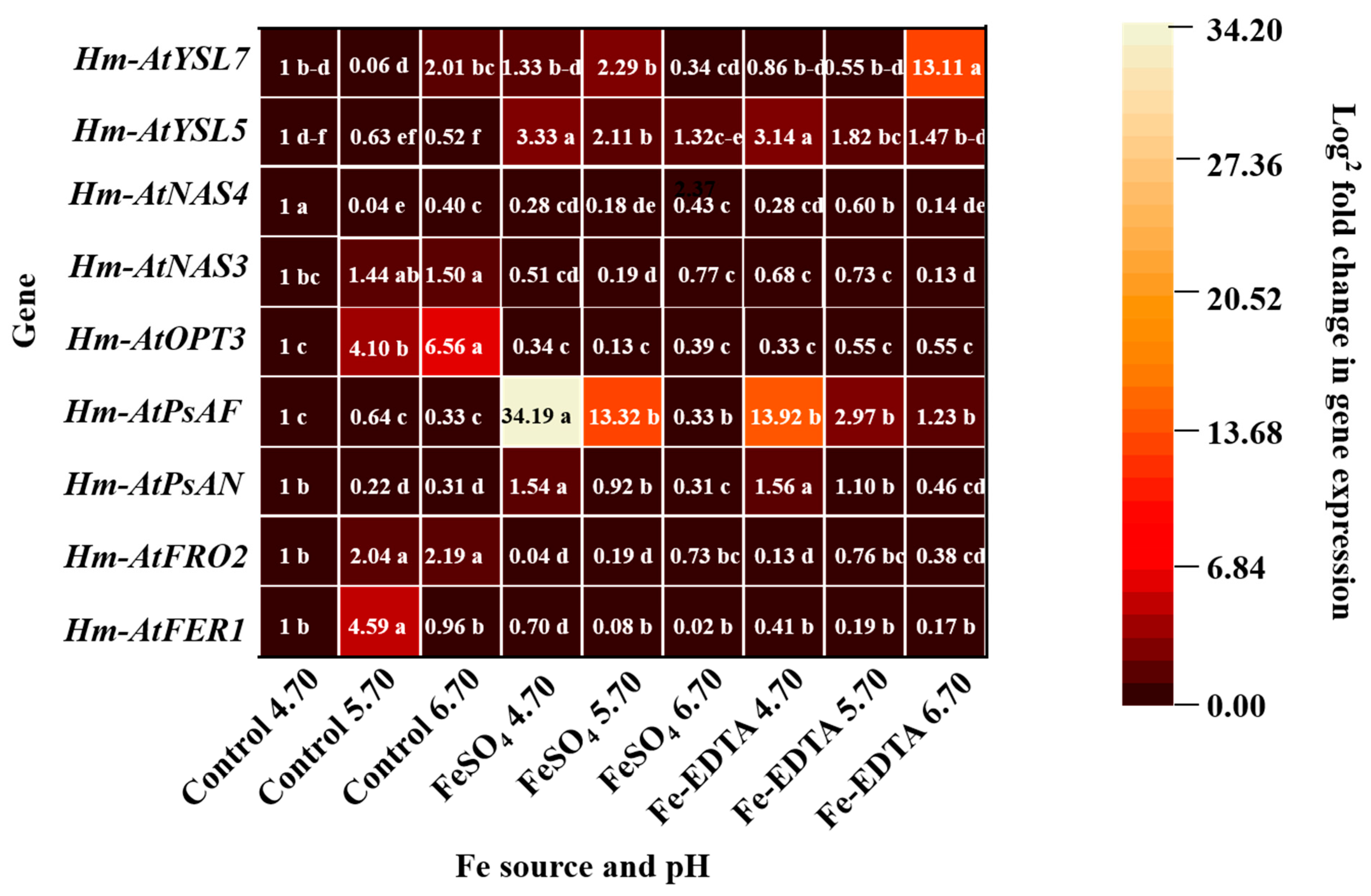 Cells 10 03151 g009 Cells 10 03151 g009