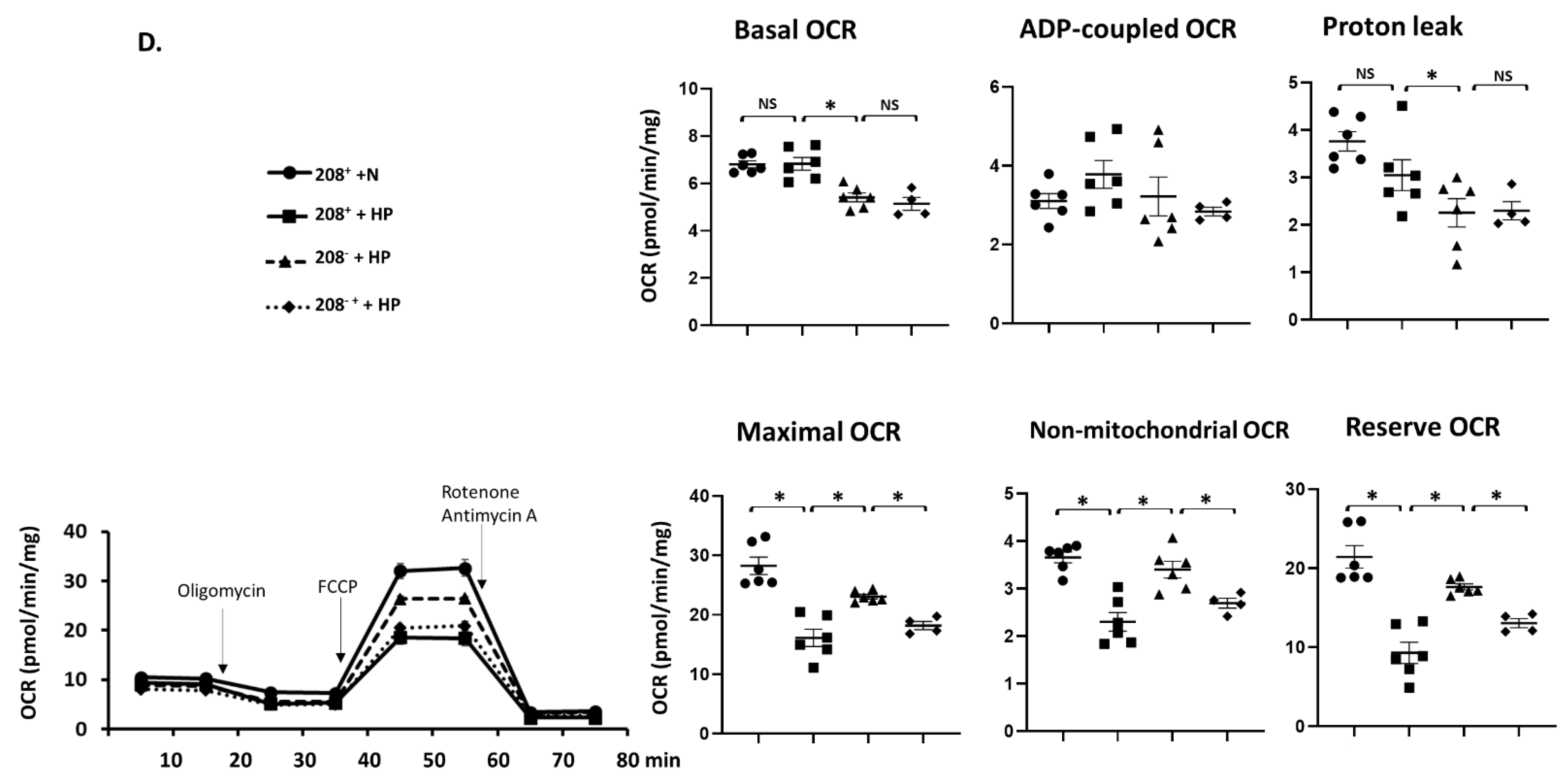 Cells 10 03152 g005c