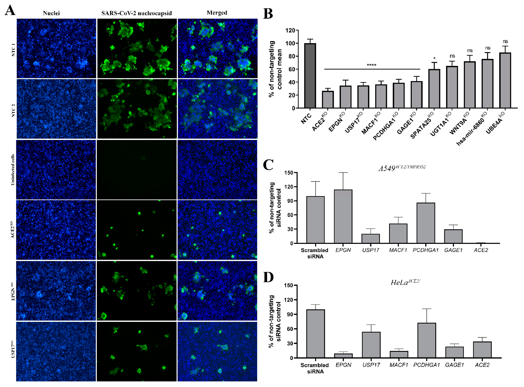 Cells 10 03159 g004