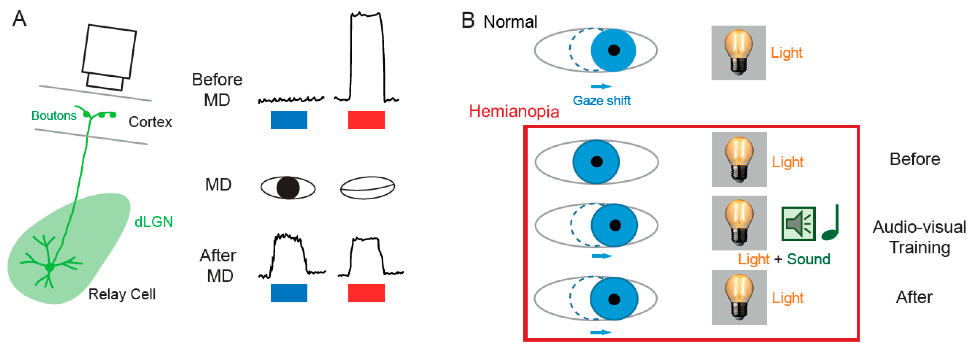 Cells 10 03162 g002 Cells 10 03162 g002