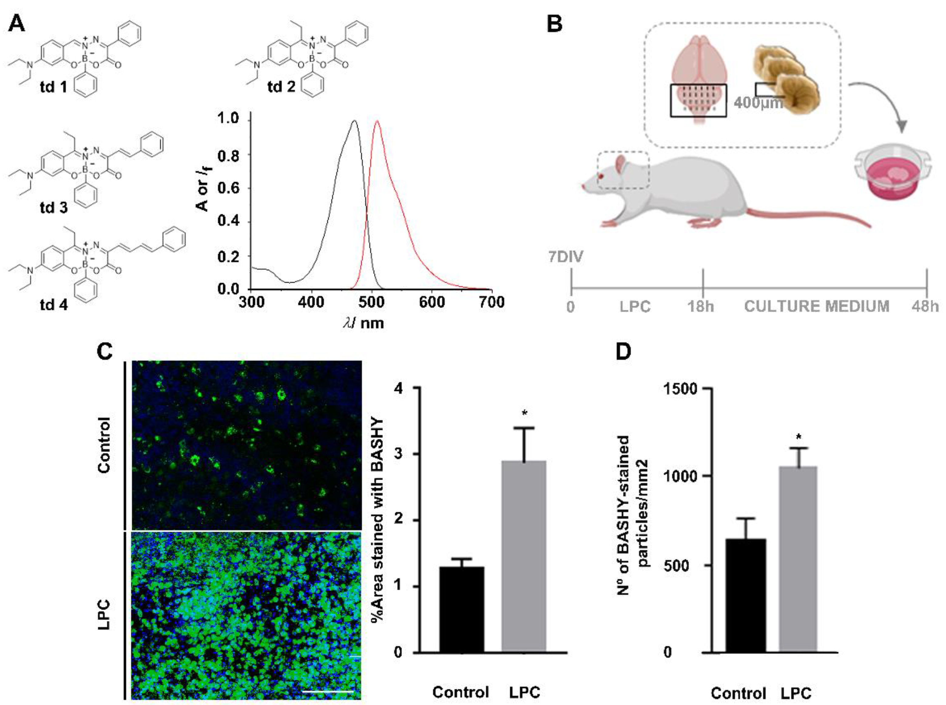 Cells 10 03163 g001 Cells 10 03163 g001