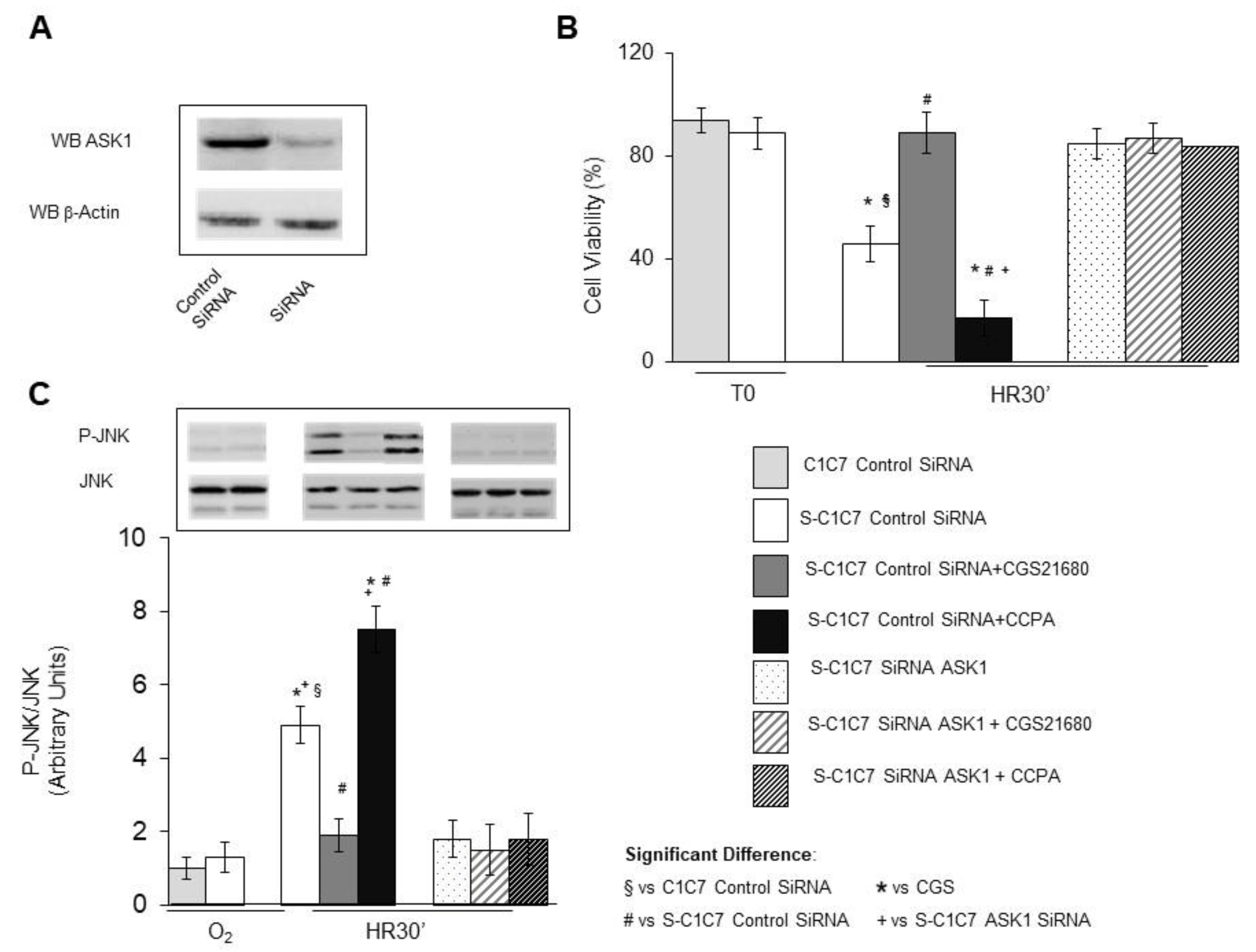 Cells 10 03171 g002 550