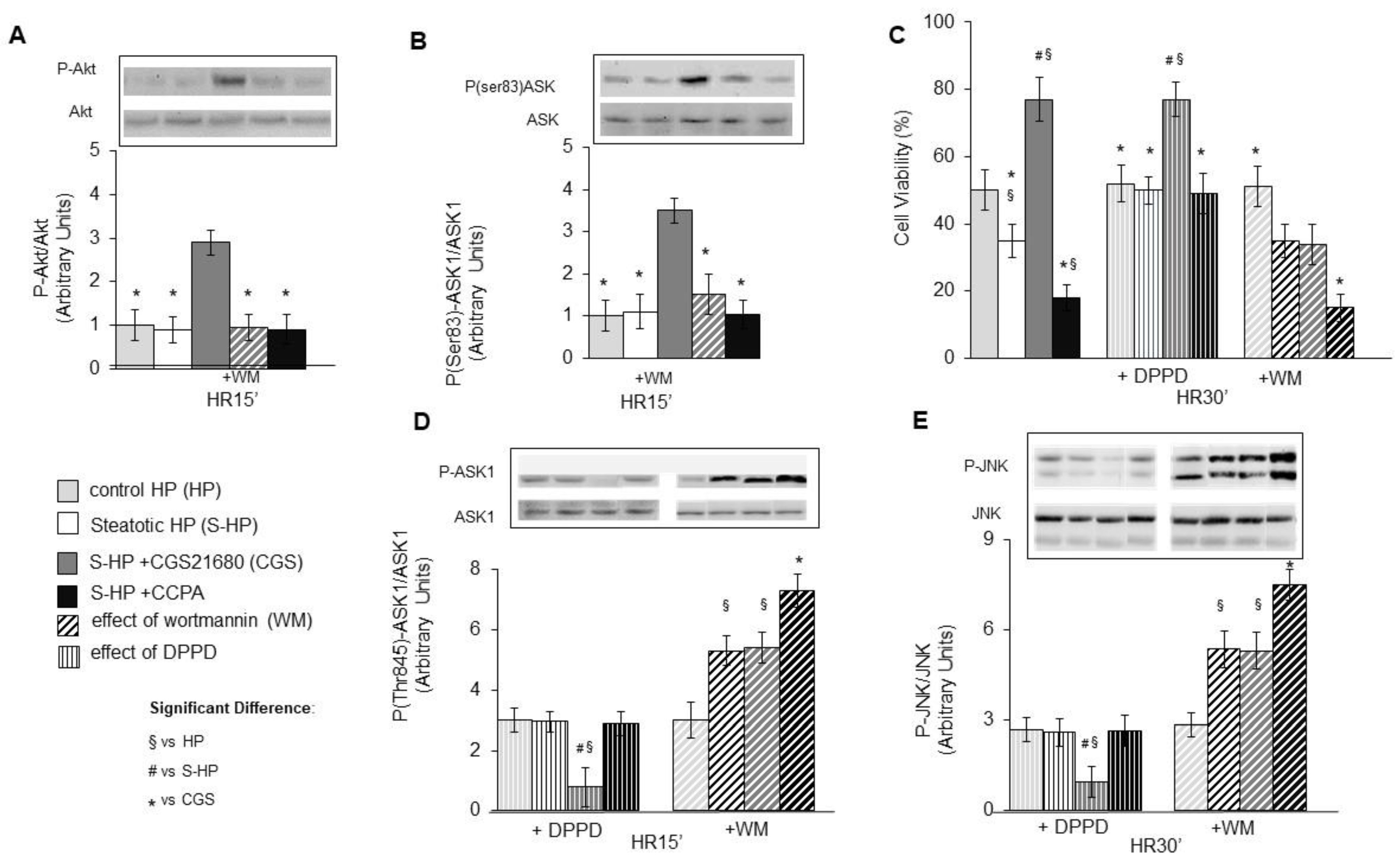 Cells 10 03171 g003 550