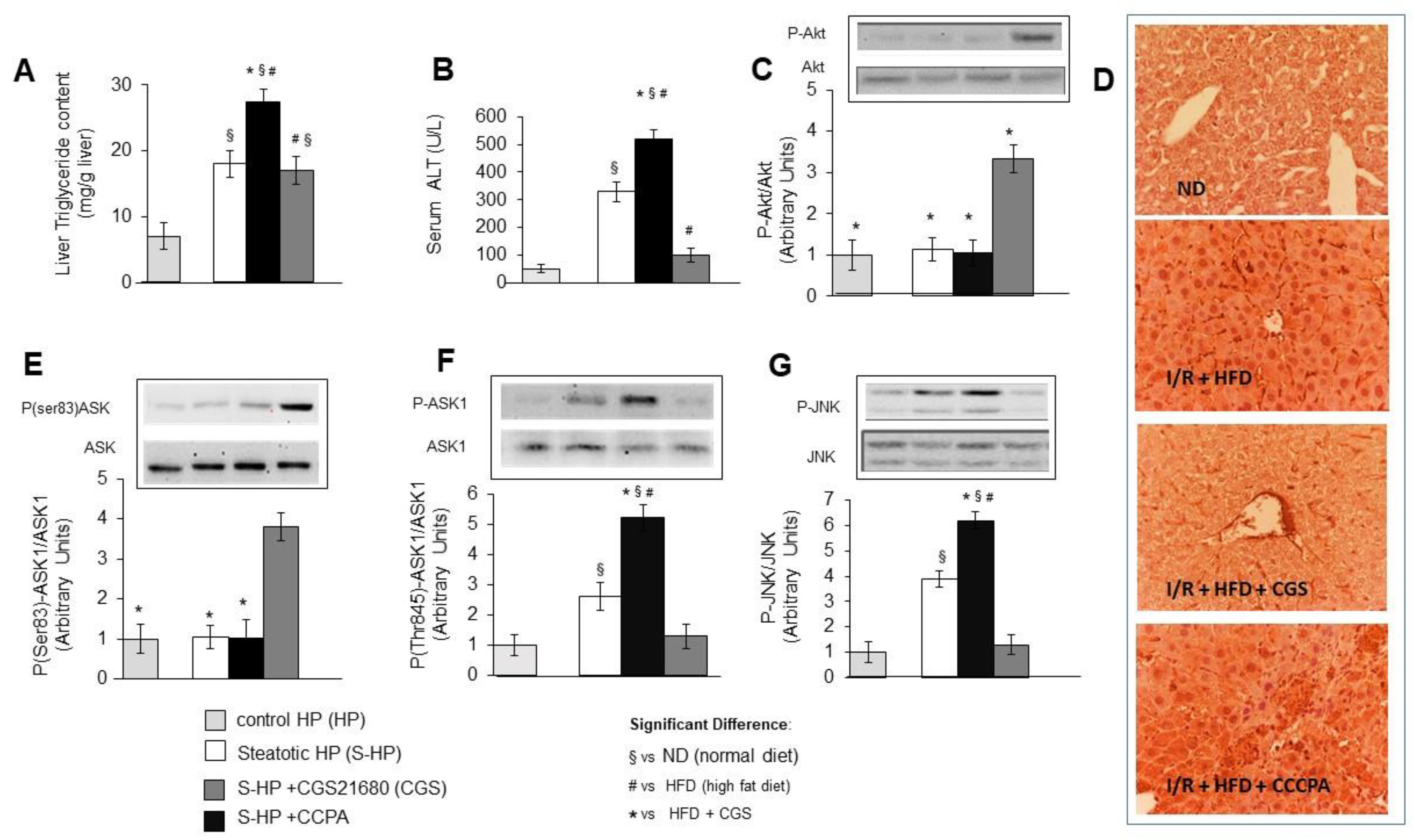 Cells 10 03171 g004 550