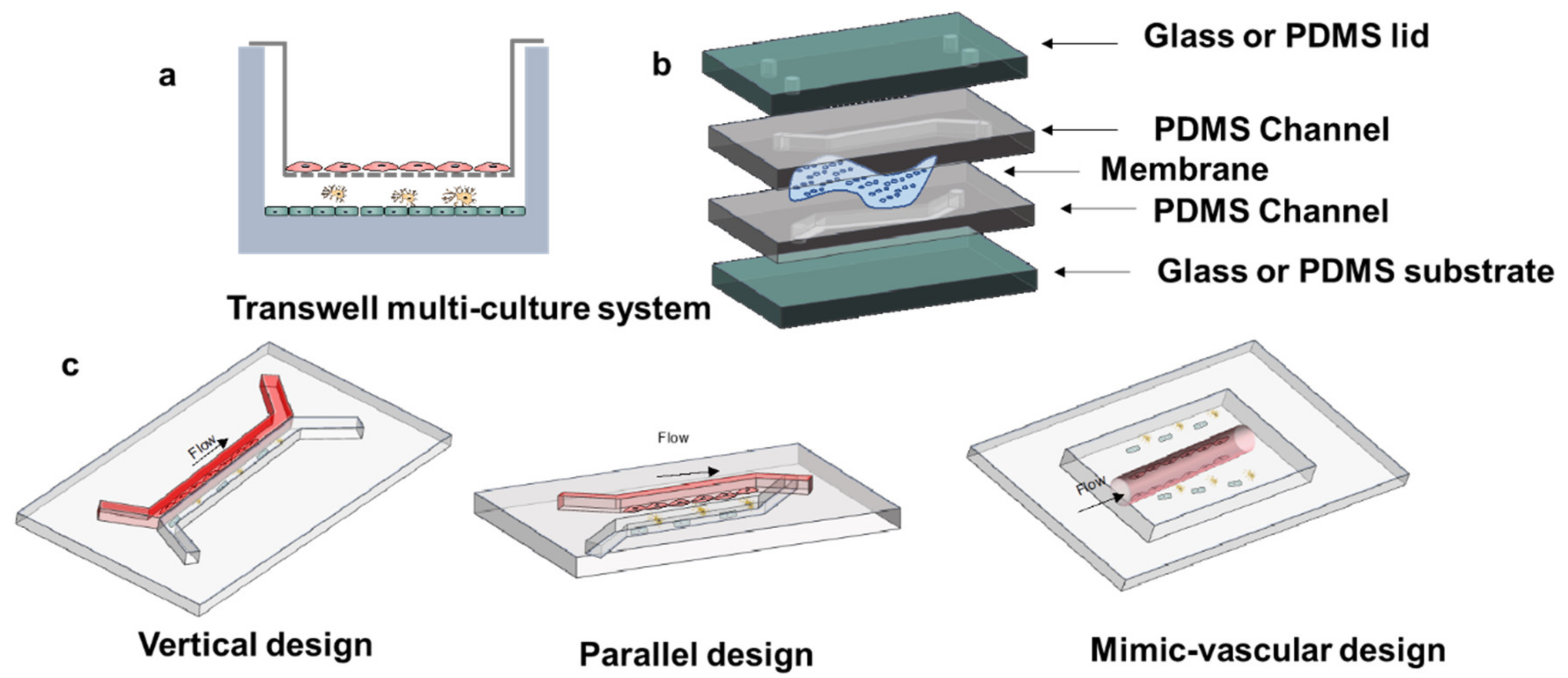 Cells 10 03183 g004 550