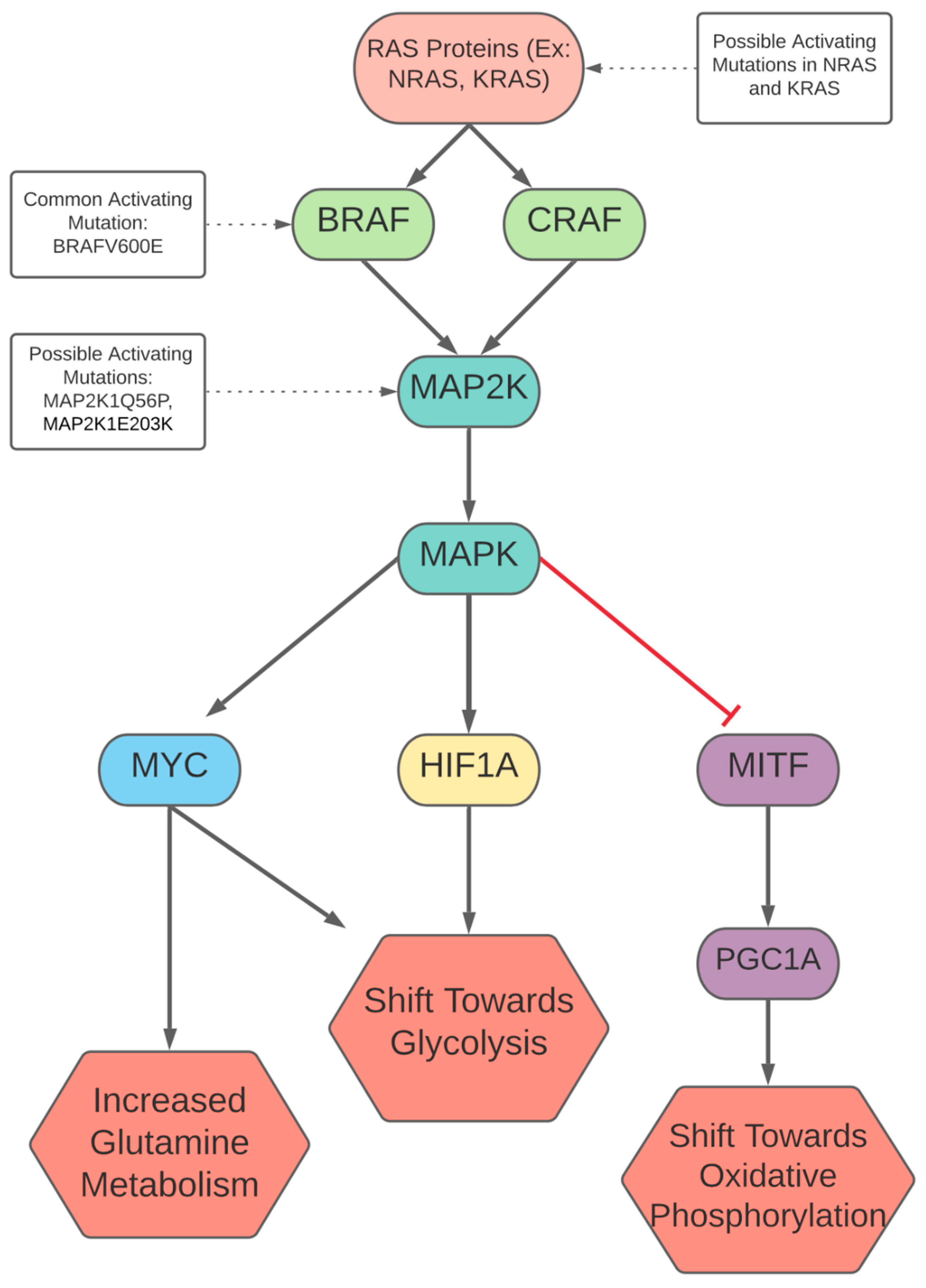 Cells 10 03197 g001 550