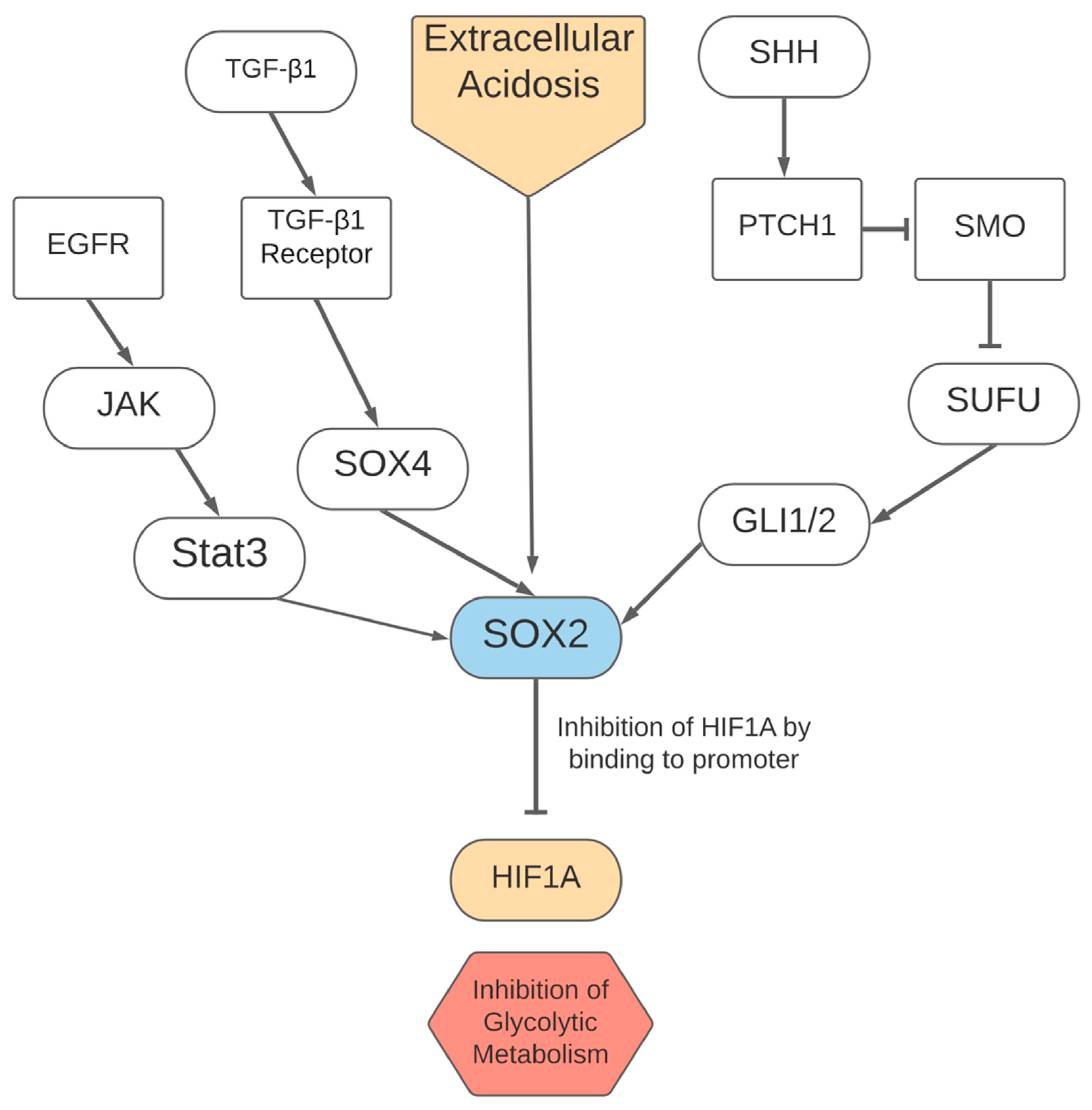Cells 10 03197 g002 550