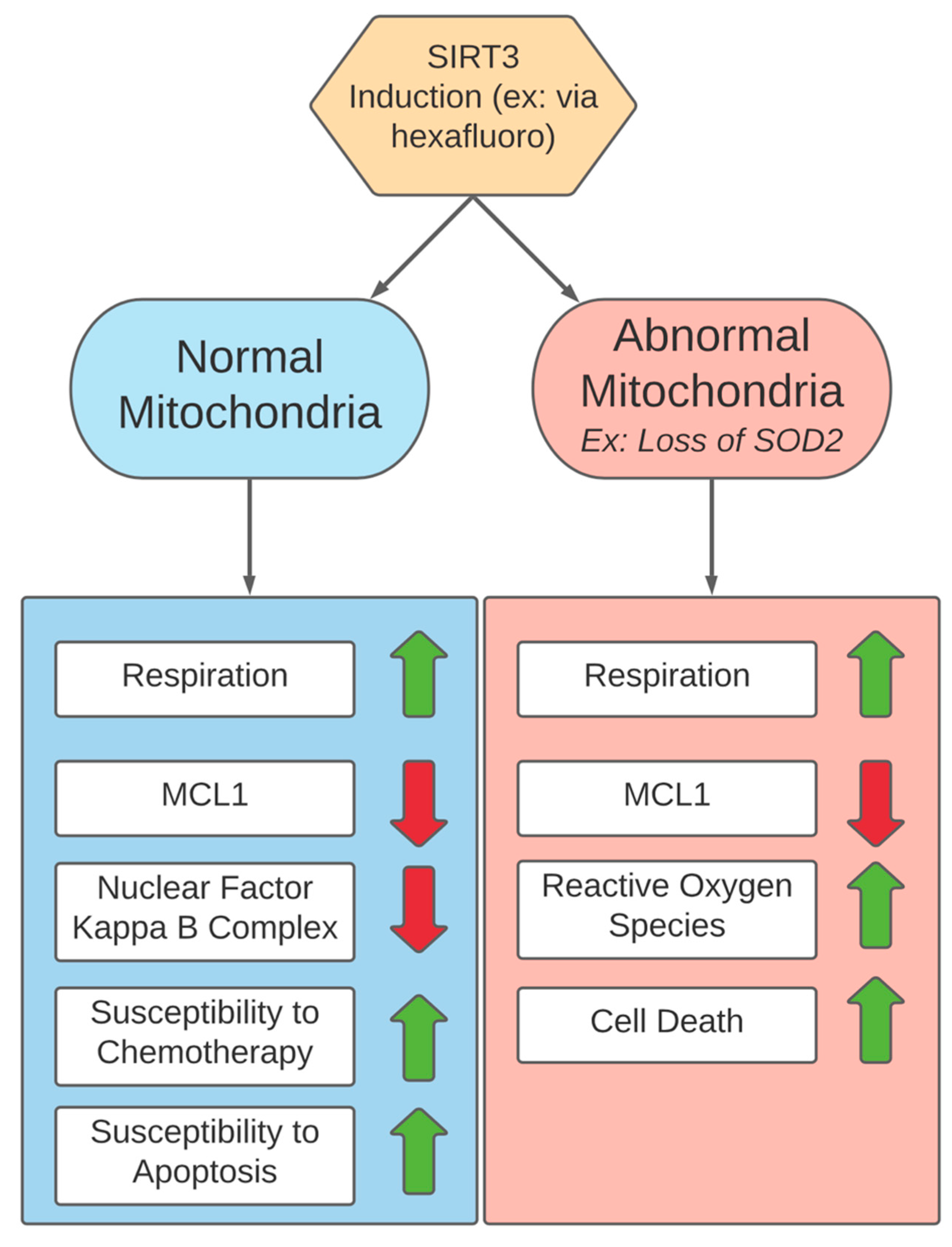 Cells 10 03197 g006 550