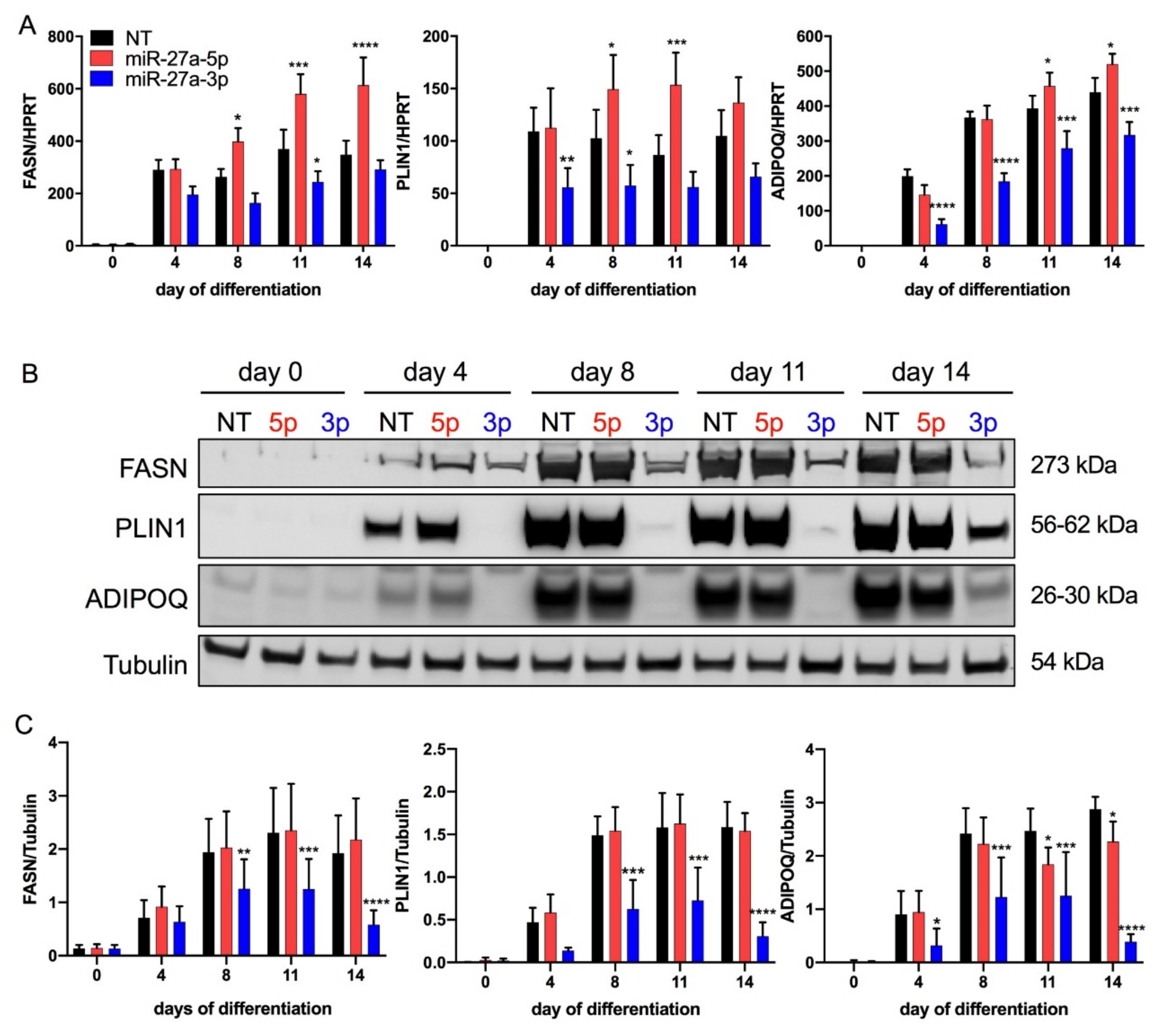 Cells 10 03205 g003 550