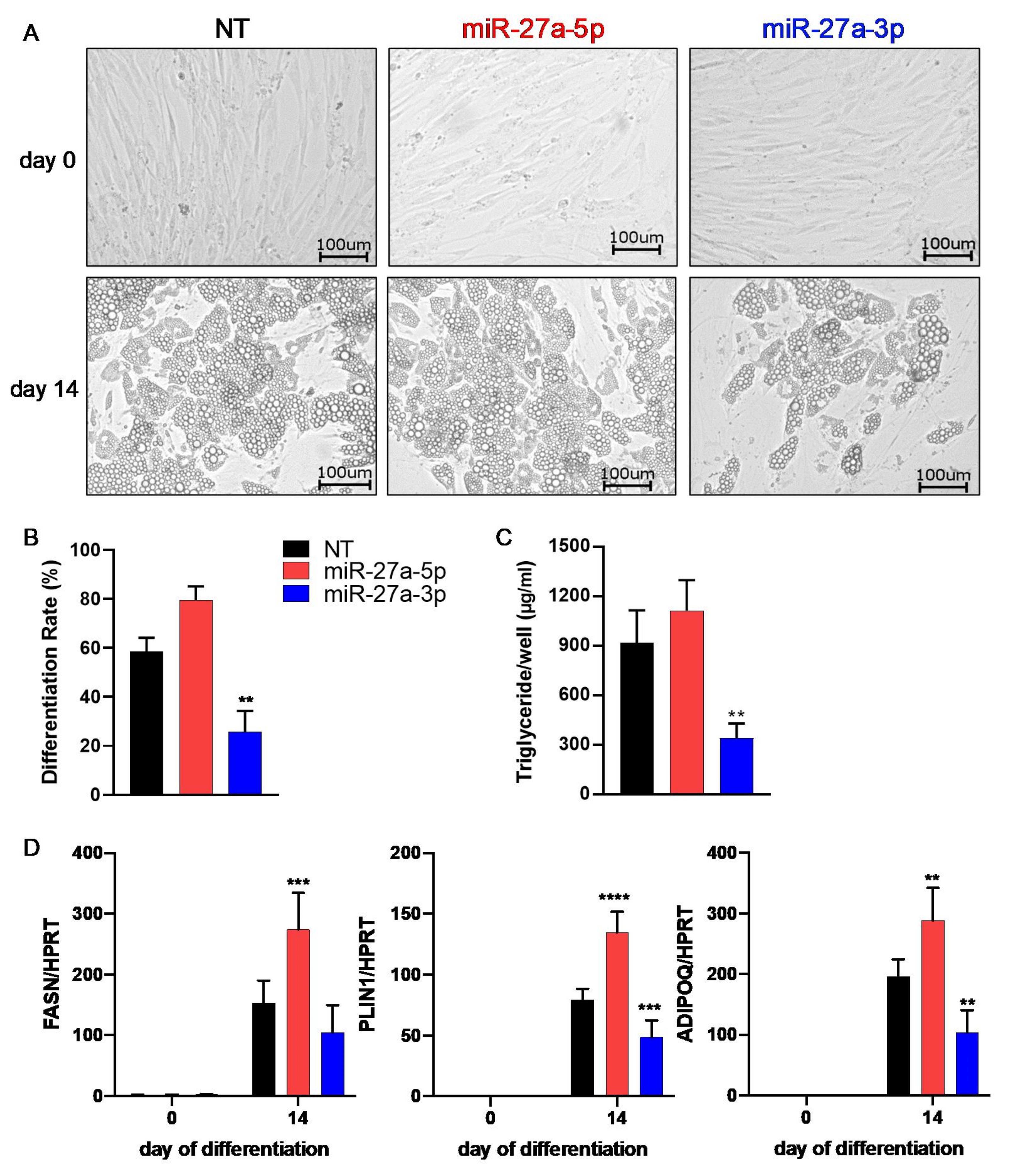 Cells 10 03205 g004 550