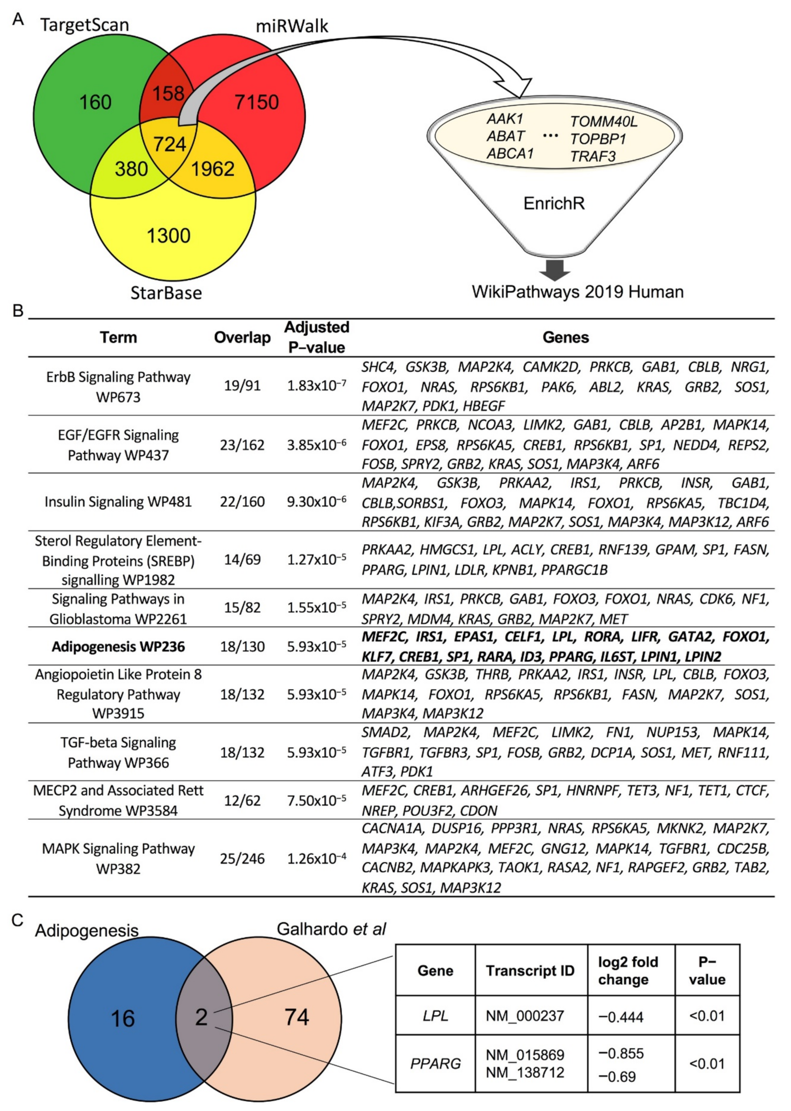Cells 10 03205 g005 550