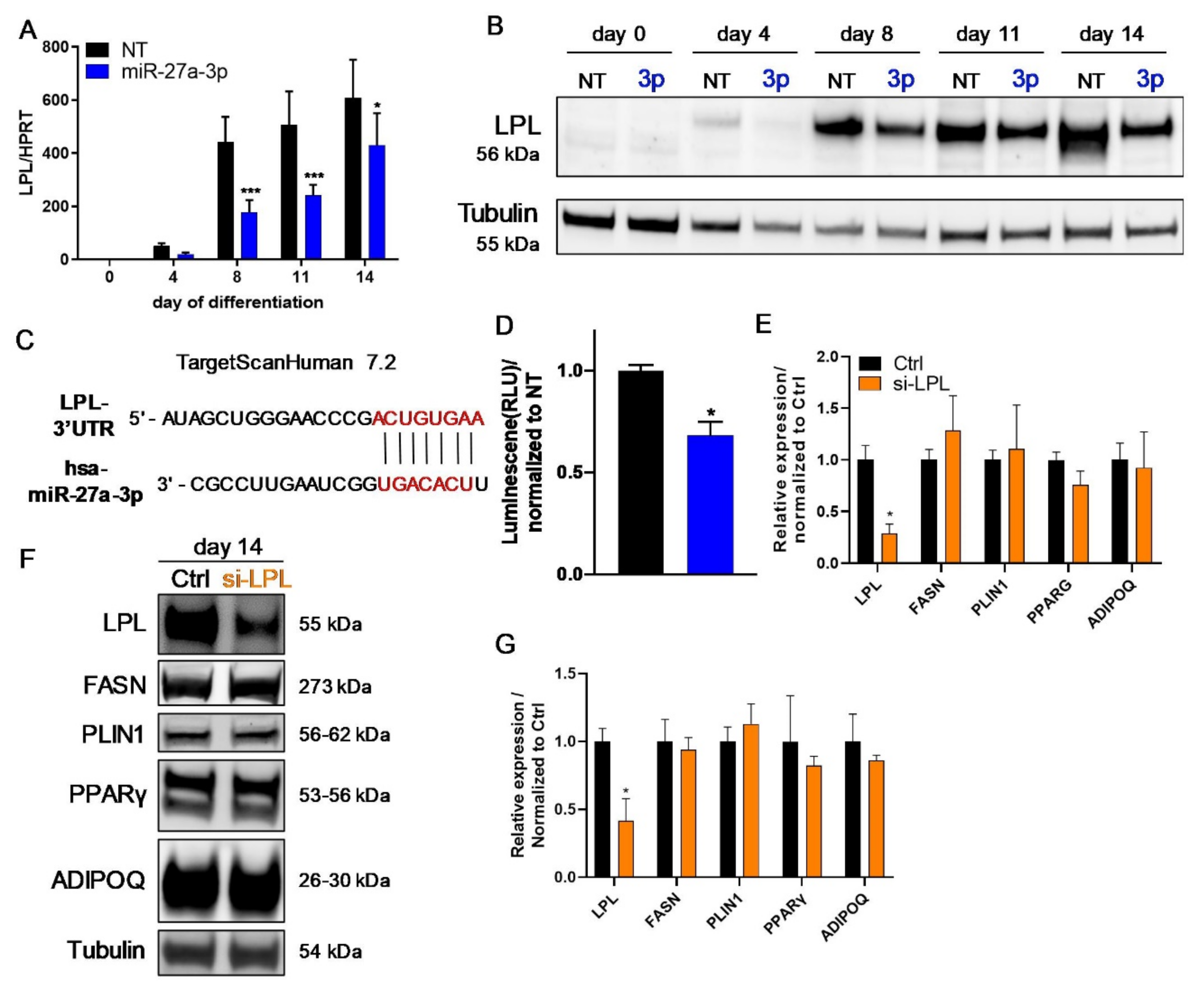 Cells 10 03205 g006 550