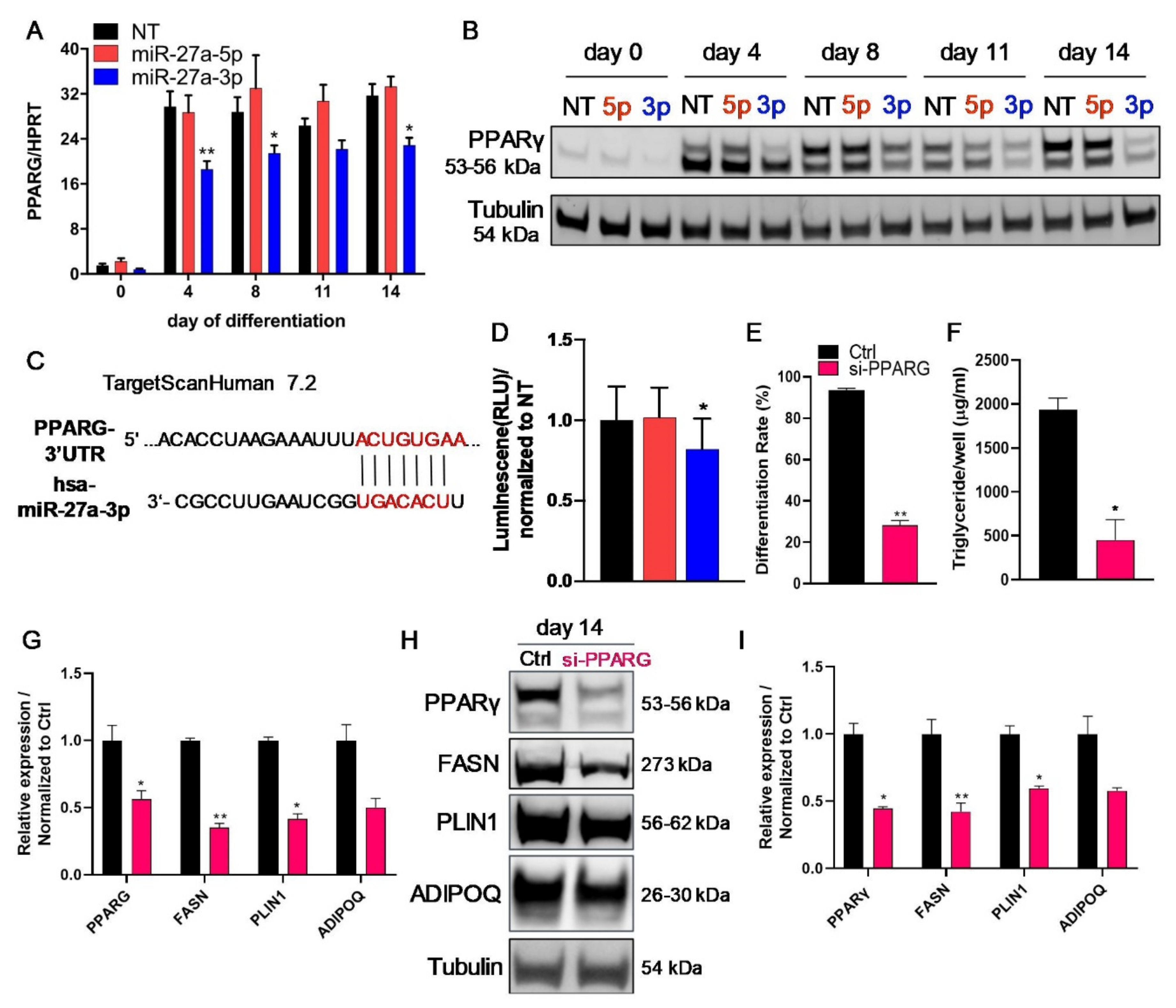 Cells 10 03205 g007 550