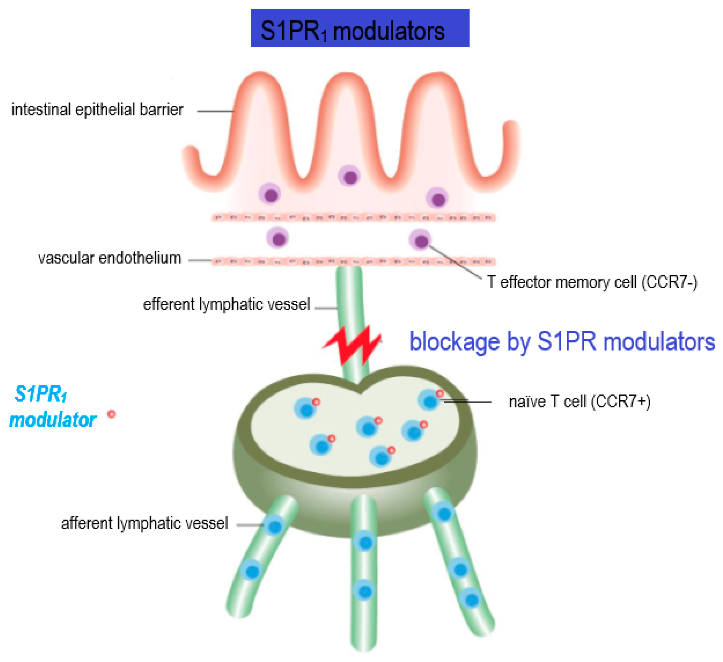 Cells 10 03217 g002 Cells 10 03217 g002