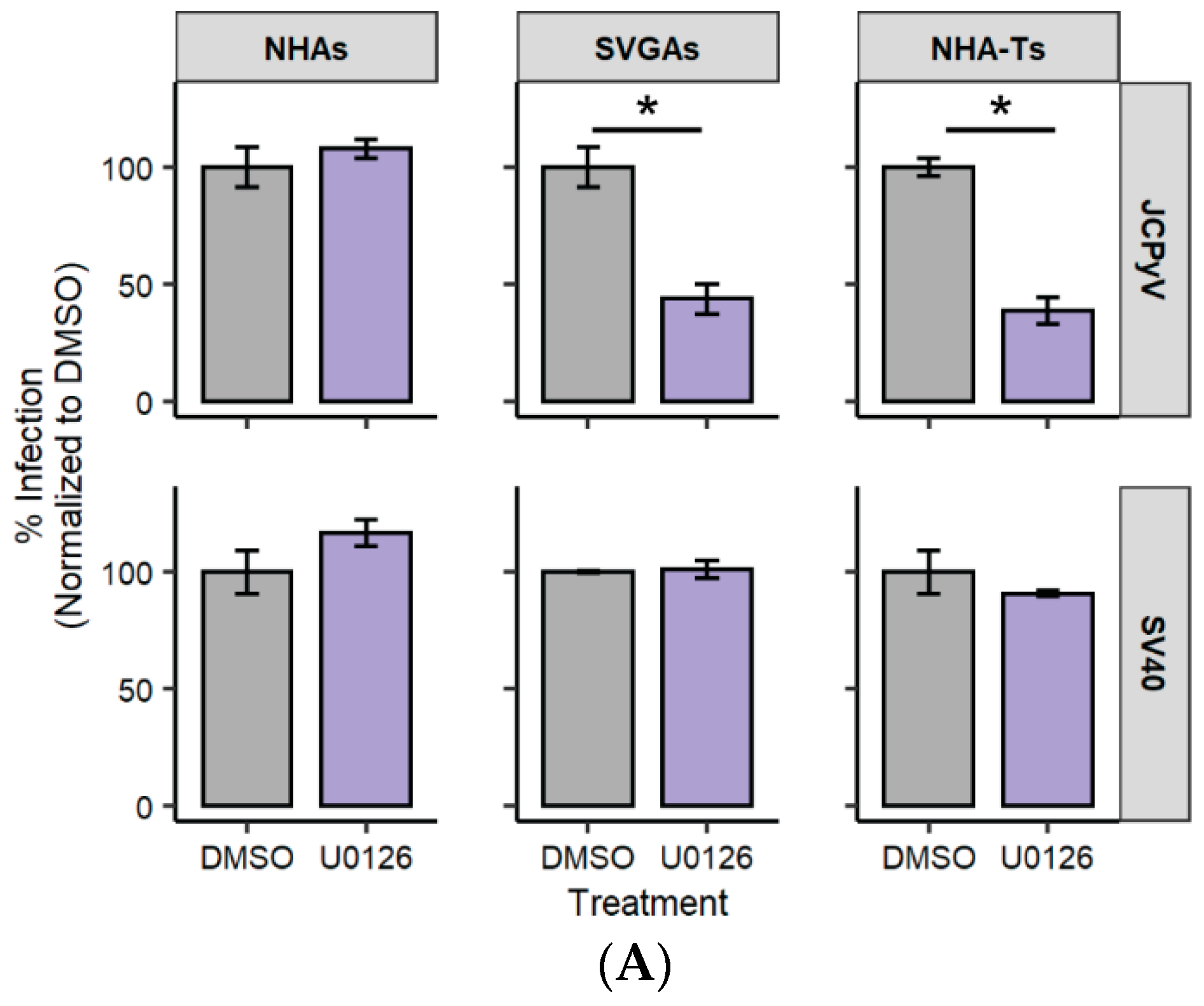 Cells 10 03218 g001a Cells 10 03218 g001a