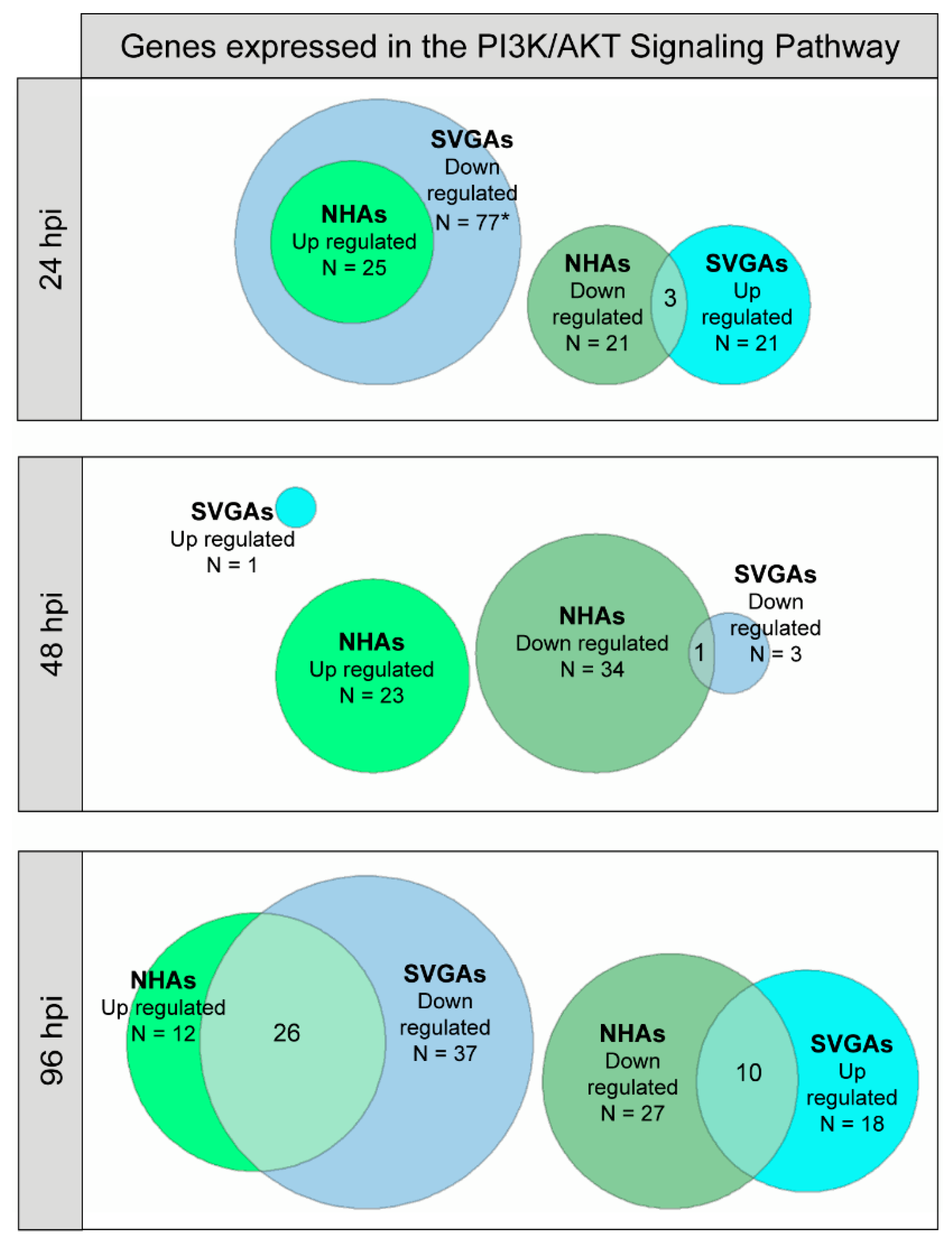 Cells 10 03218 g003 Cells 10 03218 g003