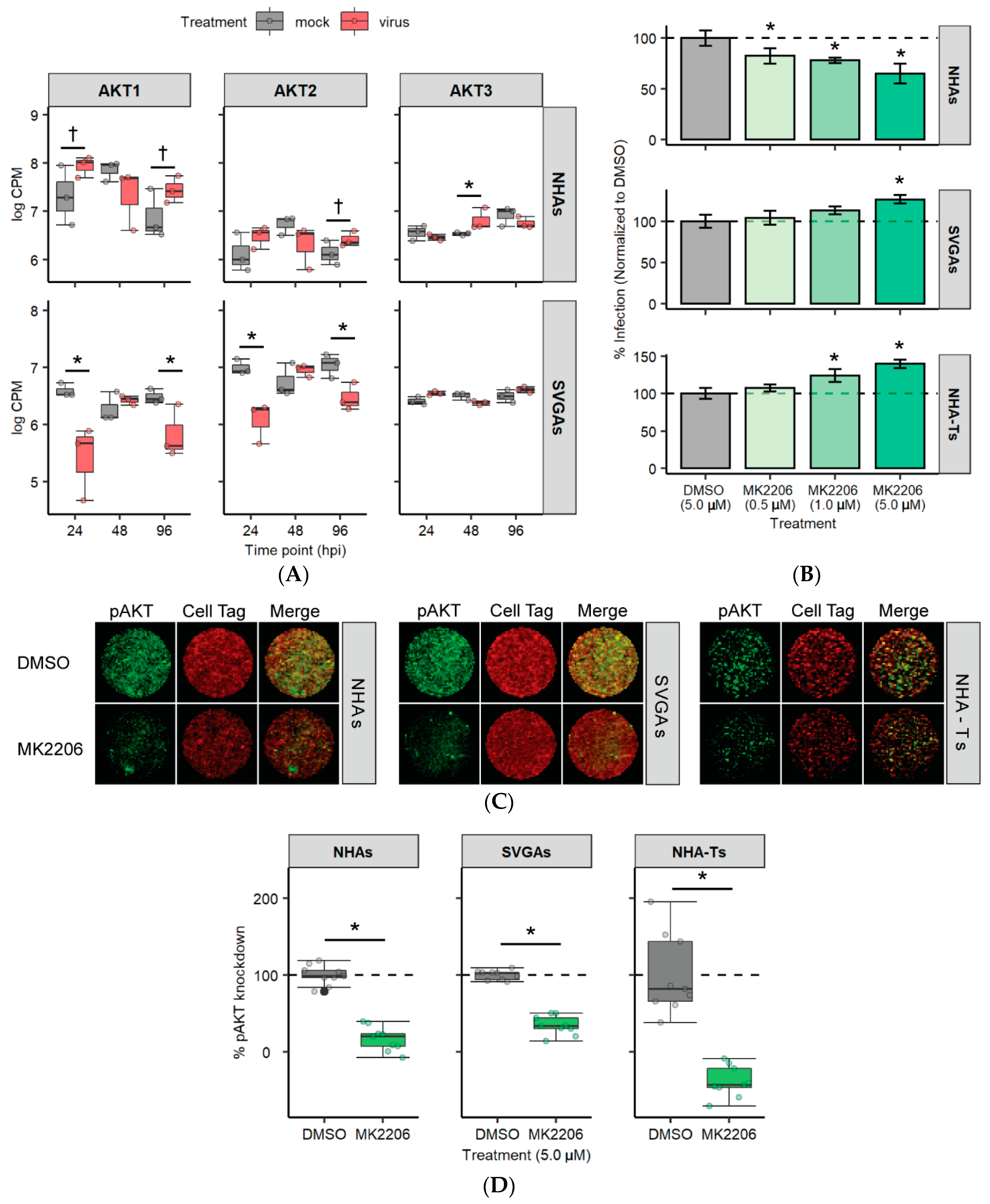 Cells 10 03218 g004 Cells 10 03218 g004