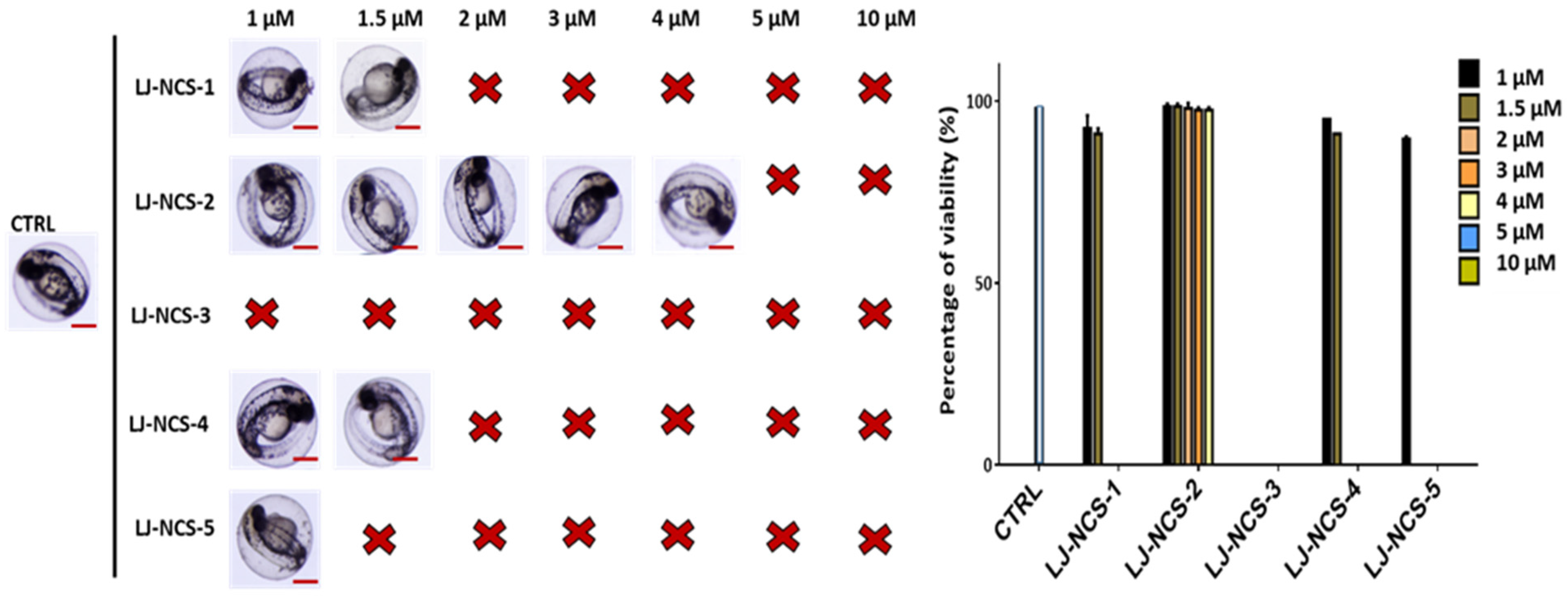 Cells 10 03219 g006 550