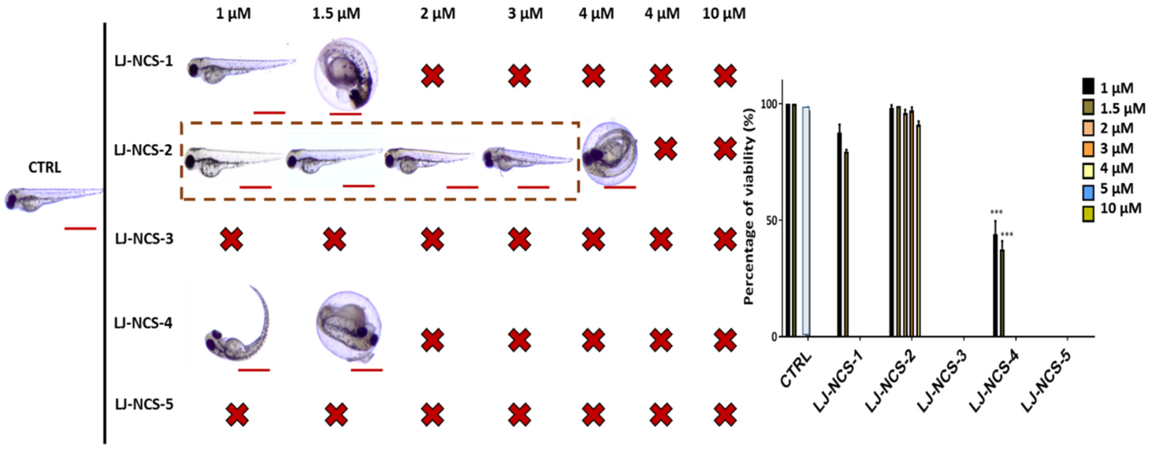 Cells 10 03219 g007 550