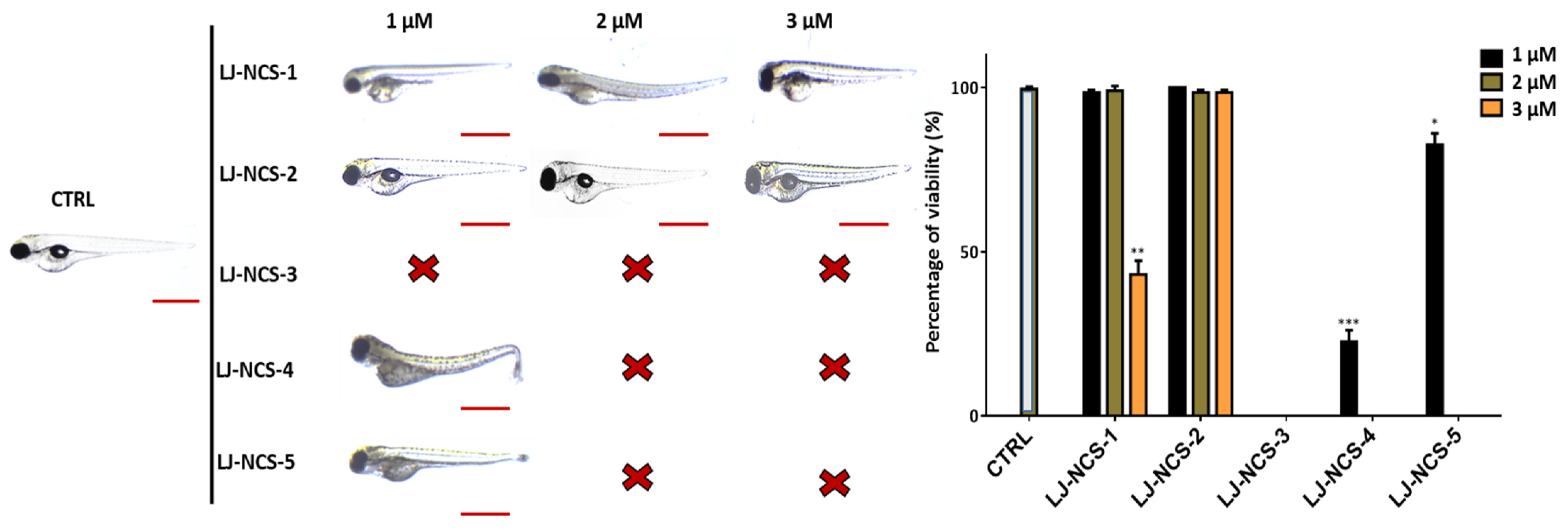 Cells 10 03219 g009 550