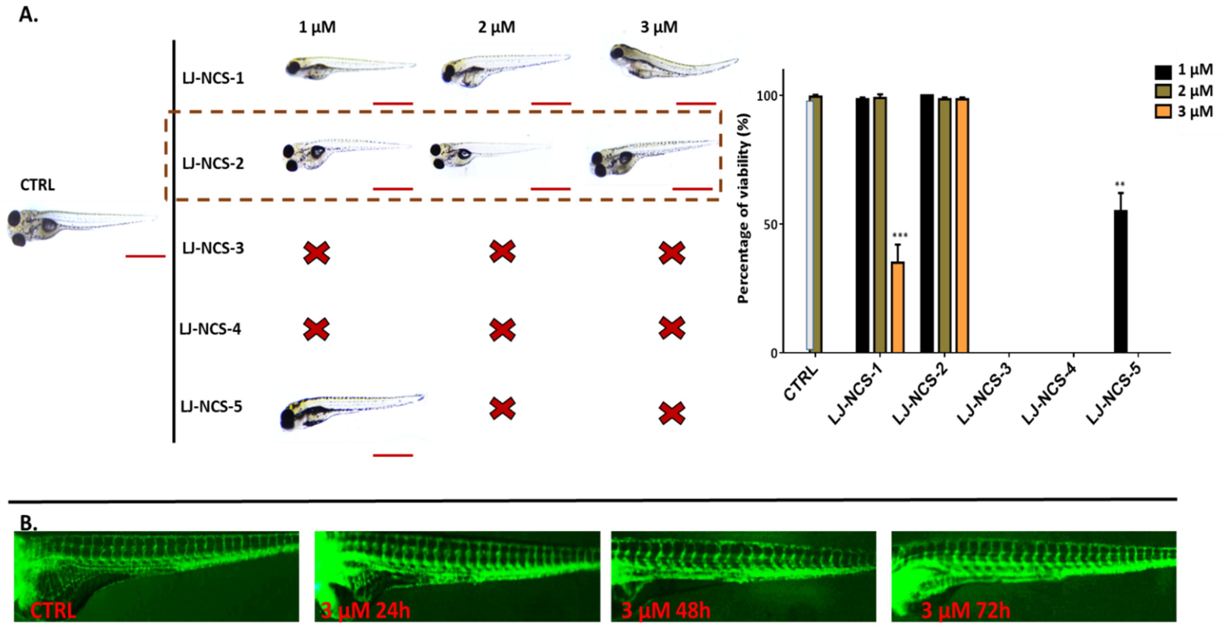Cells 10 03219 g010 550