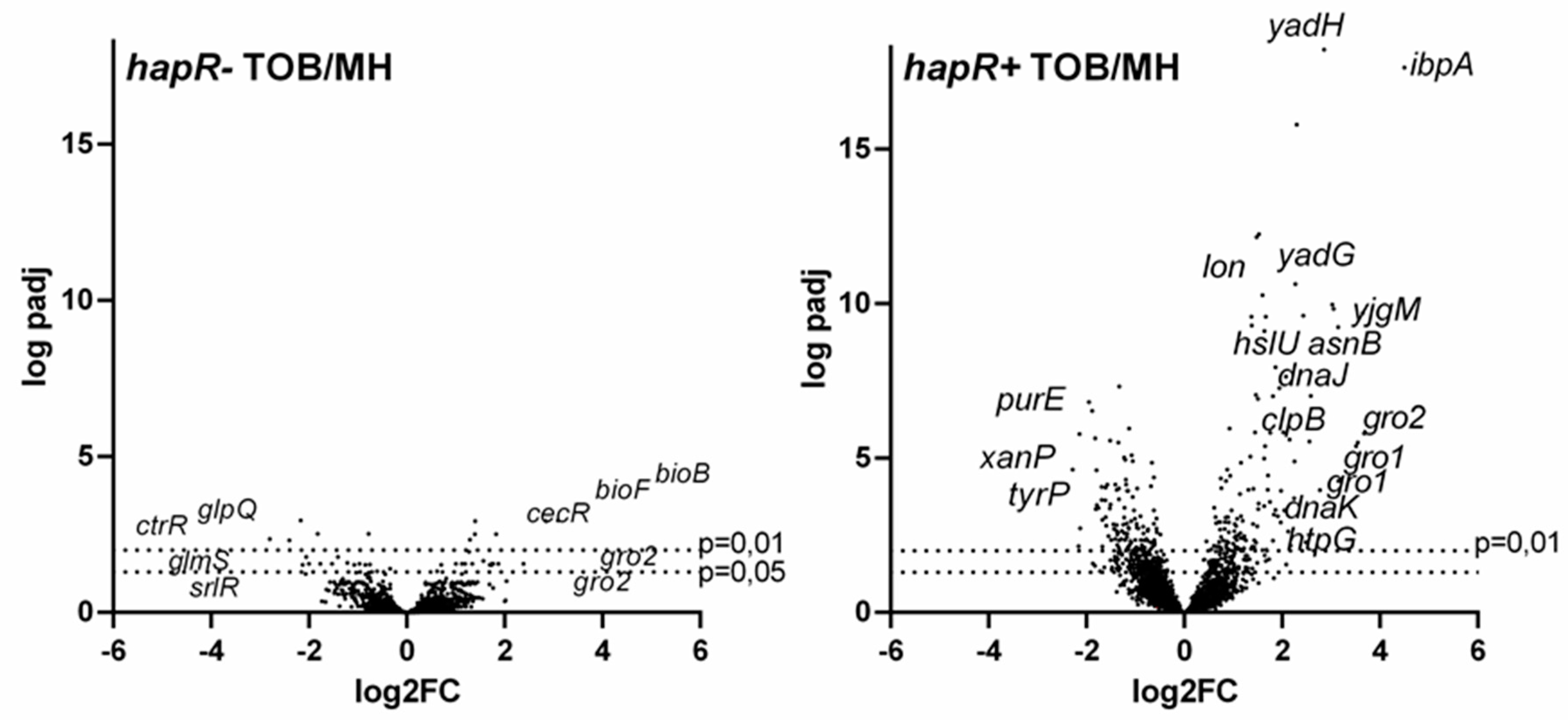 Cells 10 03227 g002 550