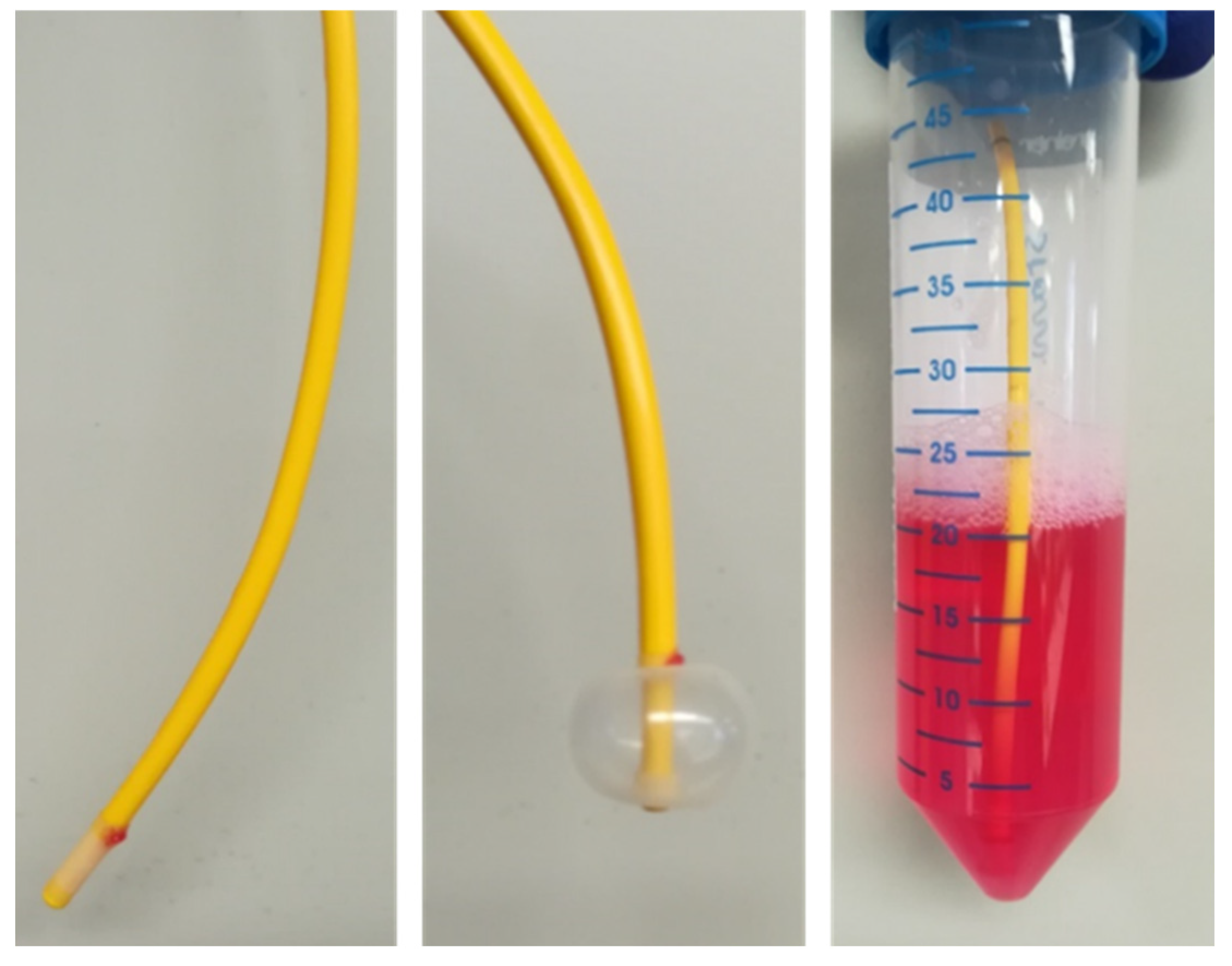 Cells 10 03229 g001 550