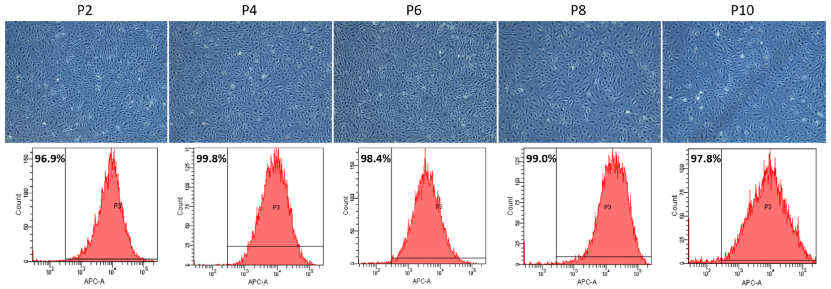 Cells 10 03229 g002 550