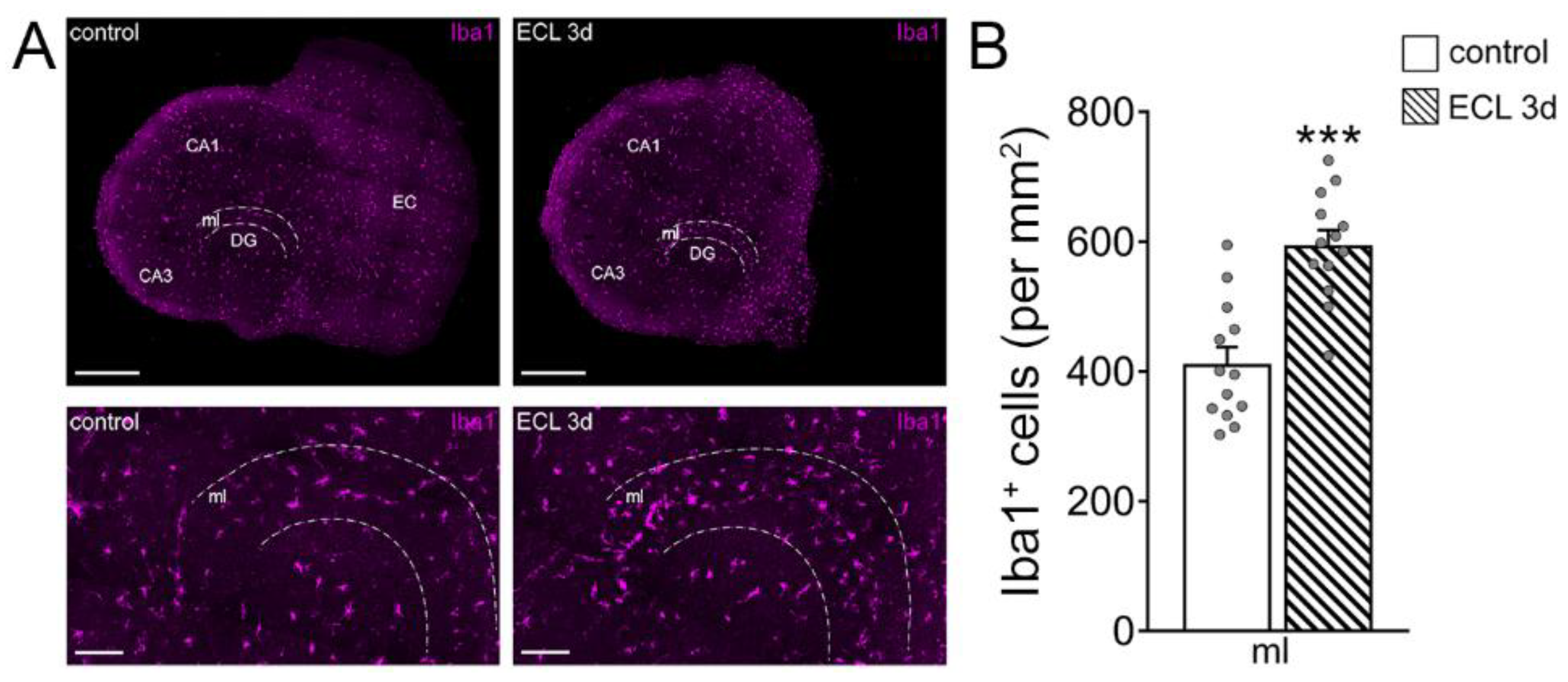 Cells 10 03232 g004 Cells 10 03232 g004