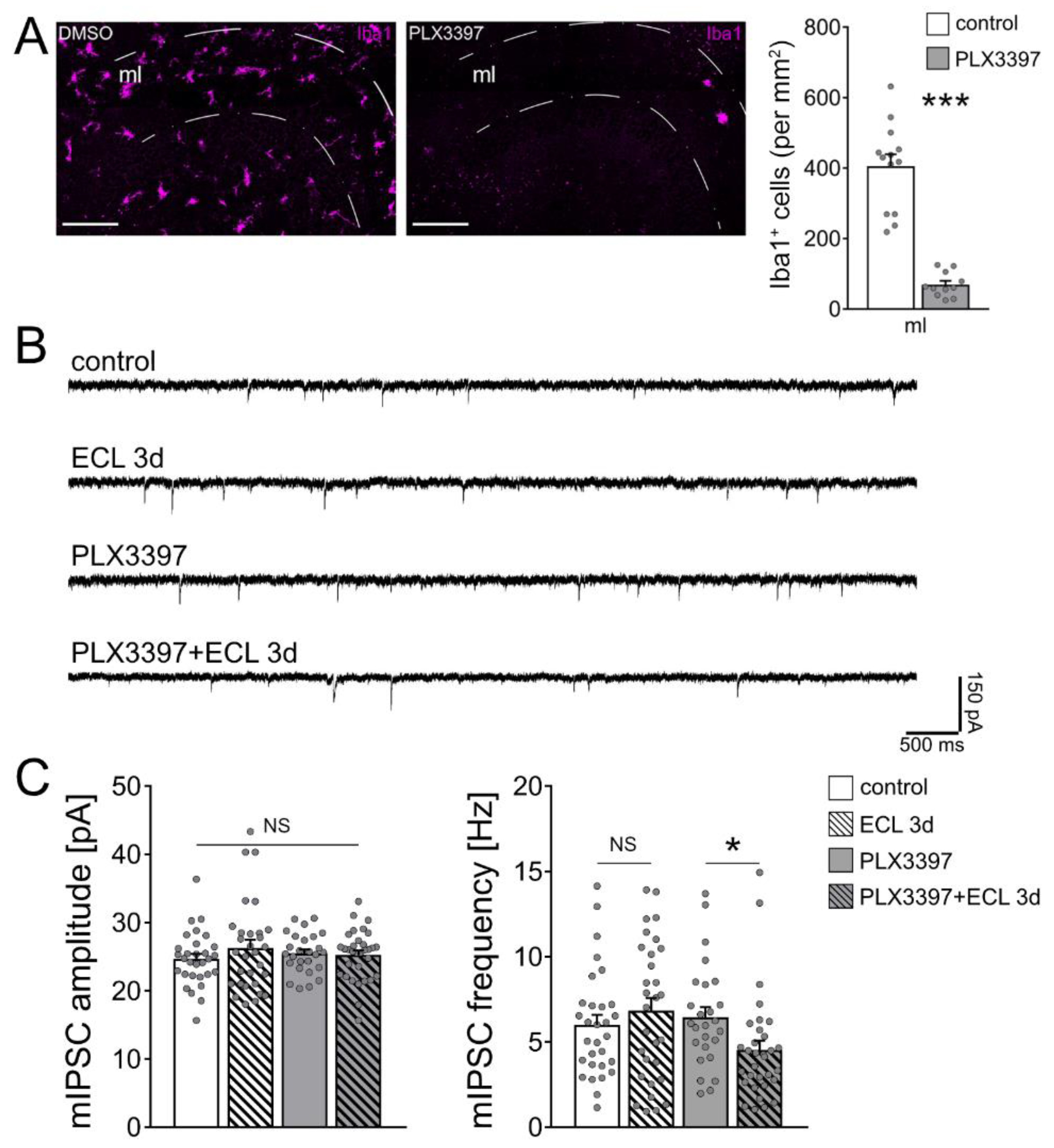 Cells 10 03232 g005 Cells 10 03232 g005
