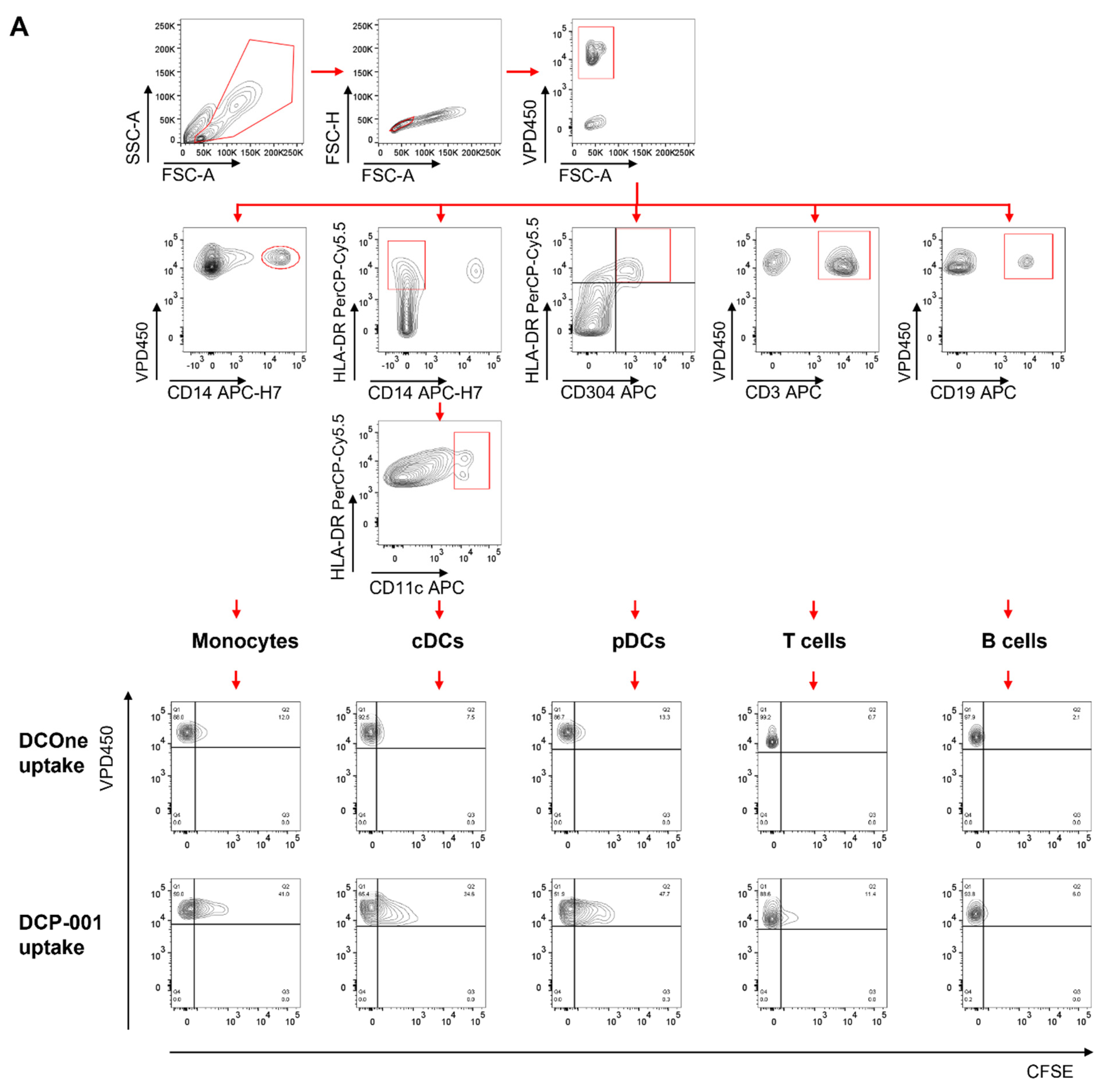 Cells 10 03233 g002a