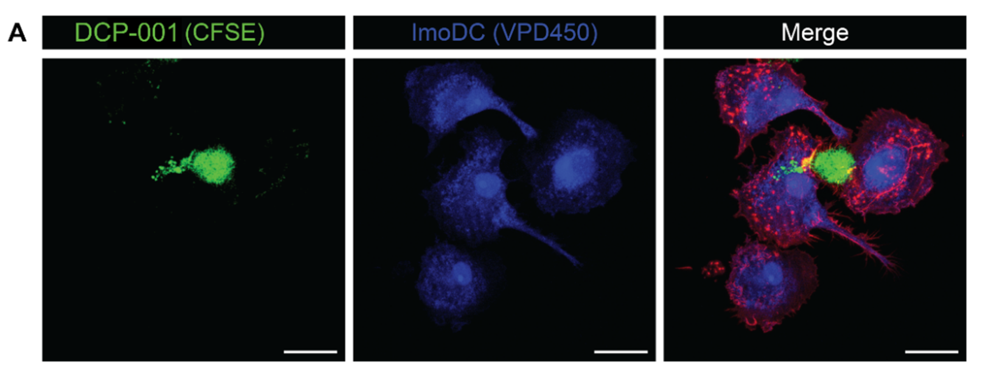 Cells 10 03233 g003a