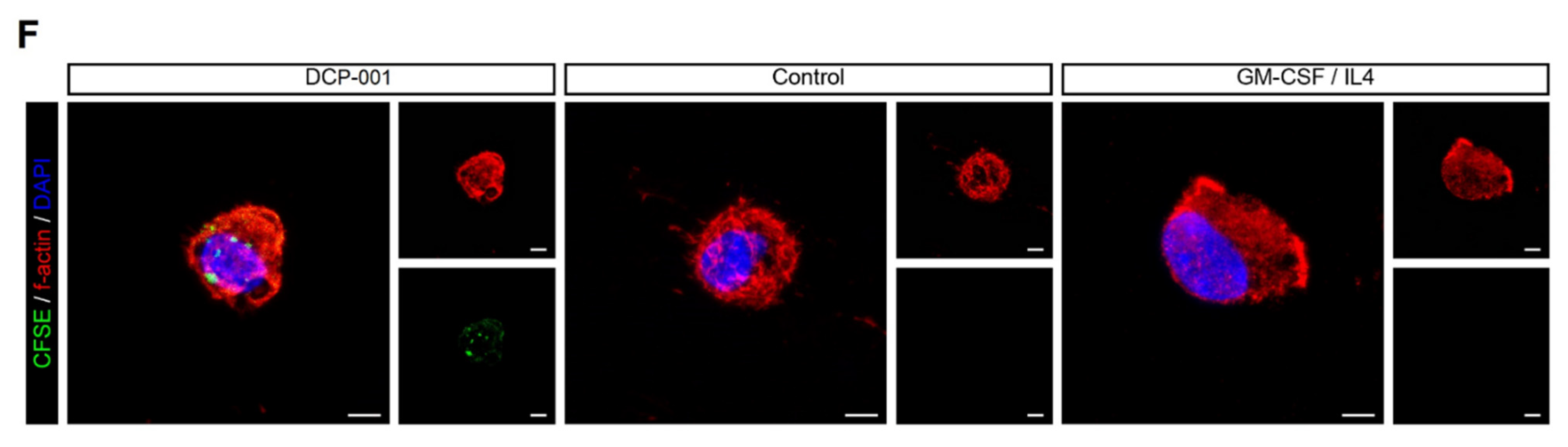 Cells 10 03233 g007b