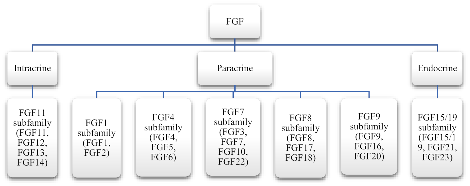 Cells 10 03242 g002 Cells 10 03242 g002