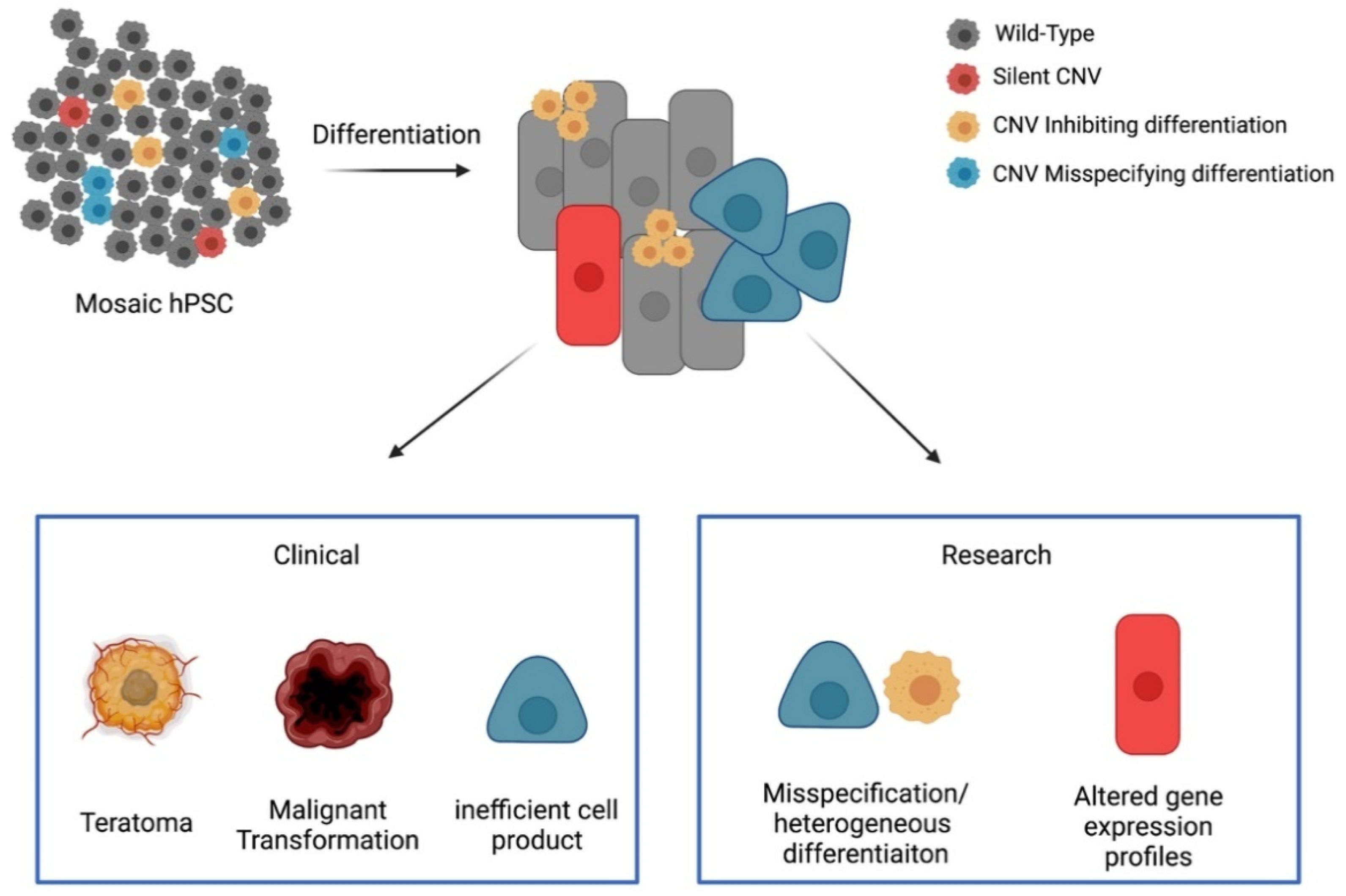 The Impact of Acquired Genetic Abnormalities on the Clinical