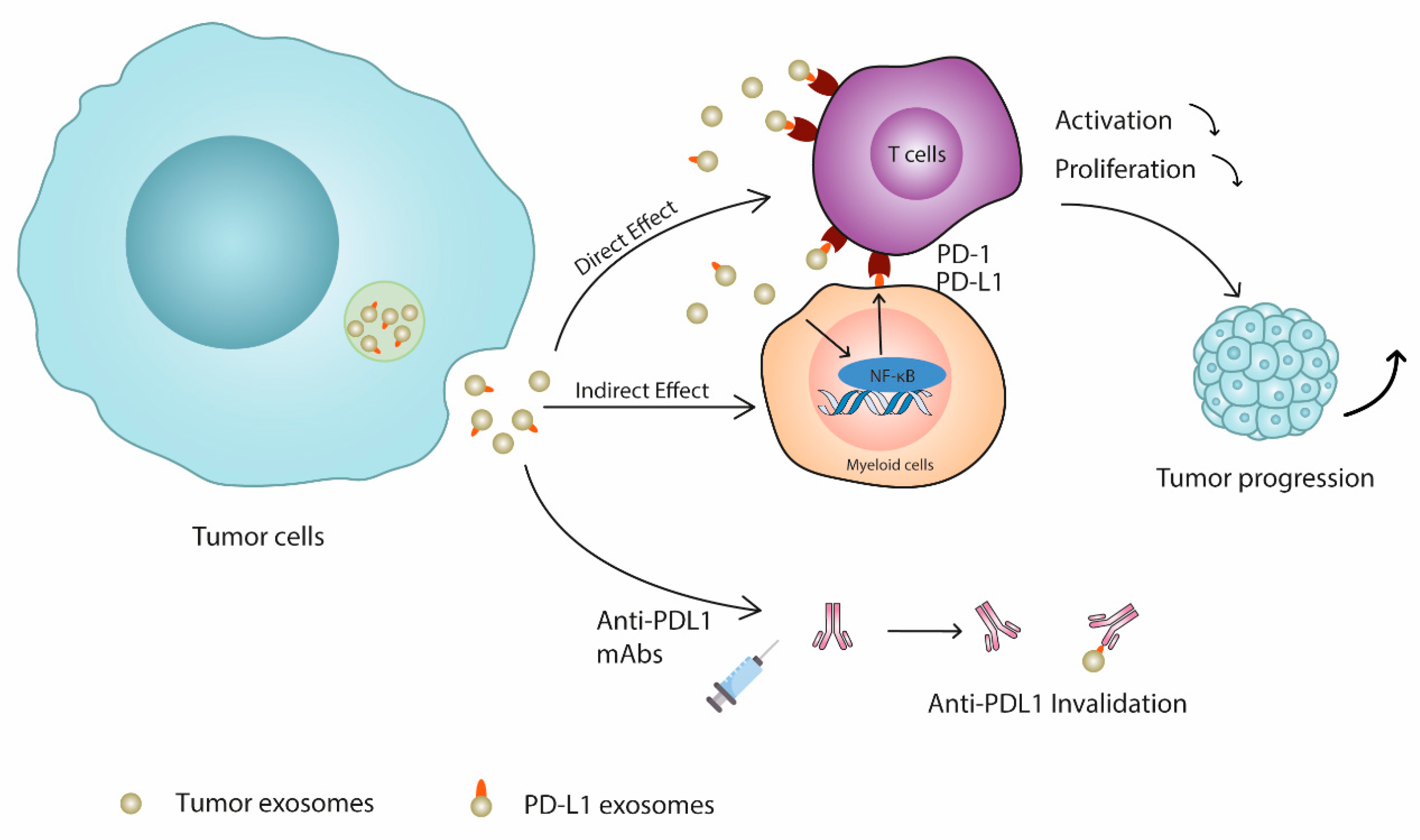Cells 10 03247 g001 Cells 10 03247 g001